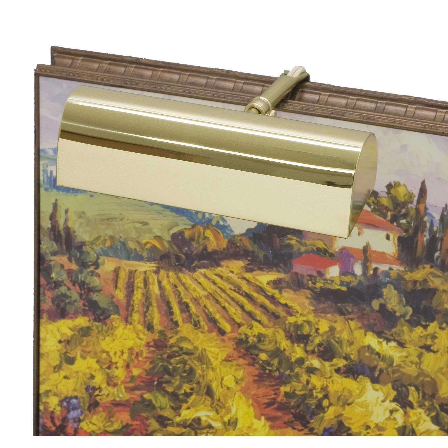 House of Troy Classic Traditional 8 Inch Picture and Display Light