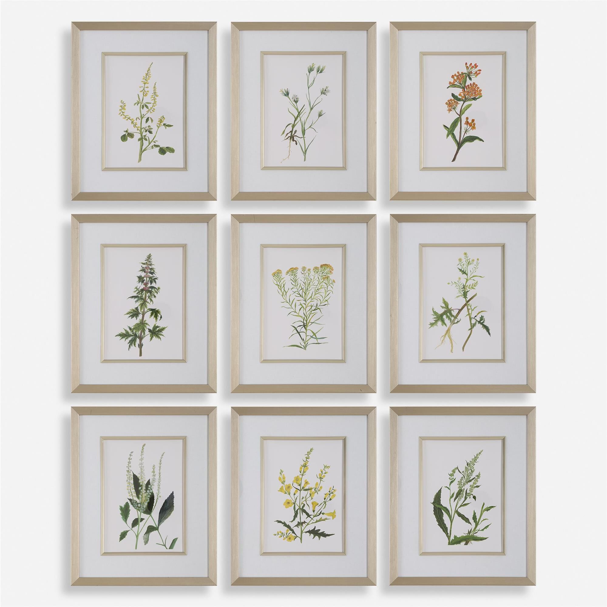 Grace Feyock Botanical Flowers 21 Inch Print by Uttermost