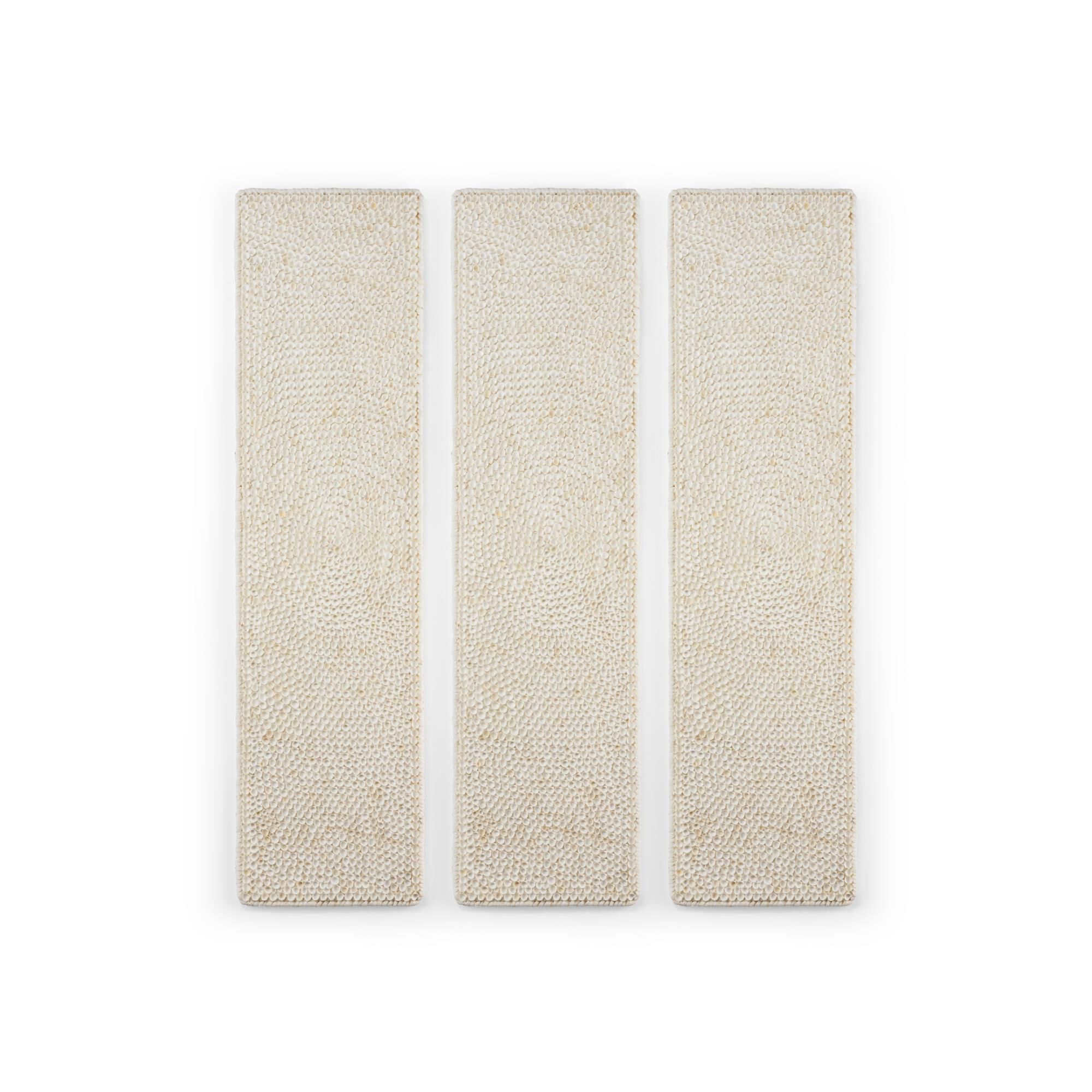 Shell Print by Chelsea House