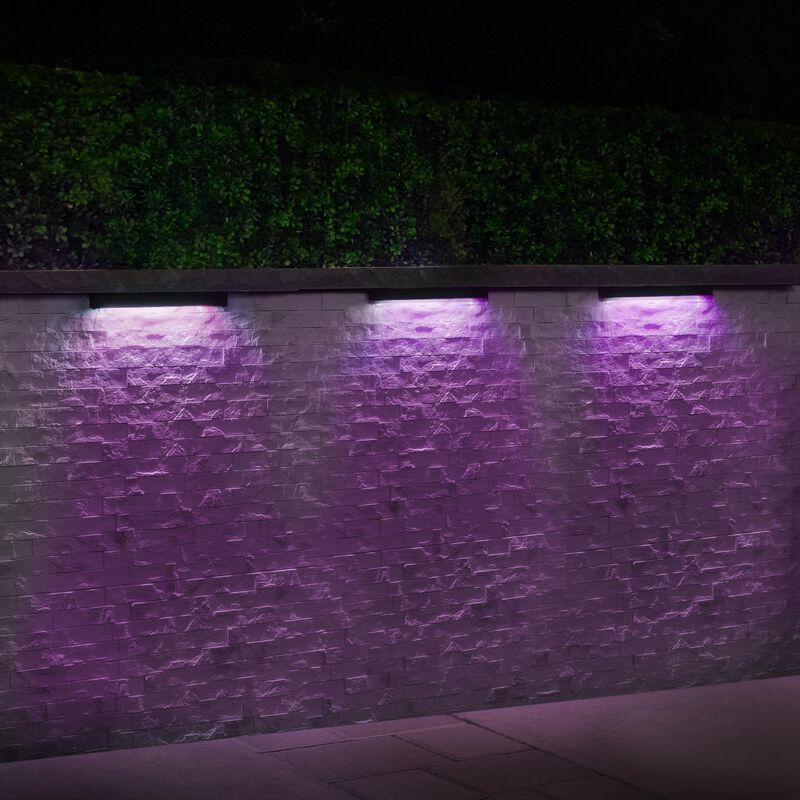 Colorscaping 6 Inch Landscape Specialty Light by WAC Lighting