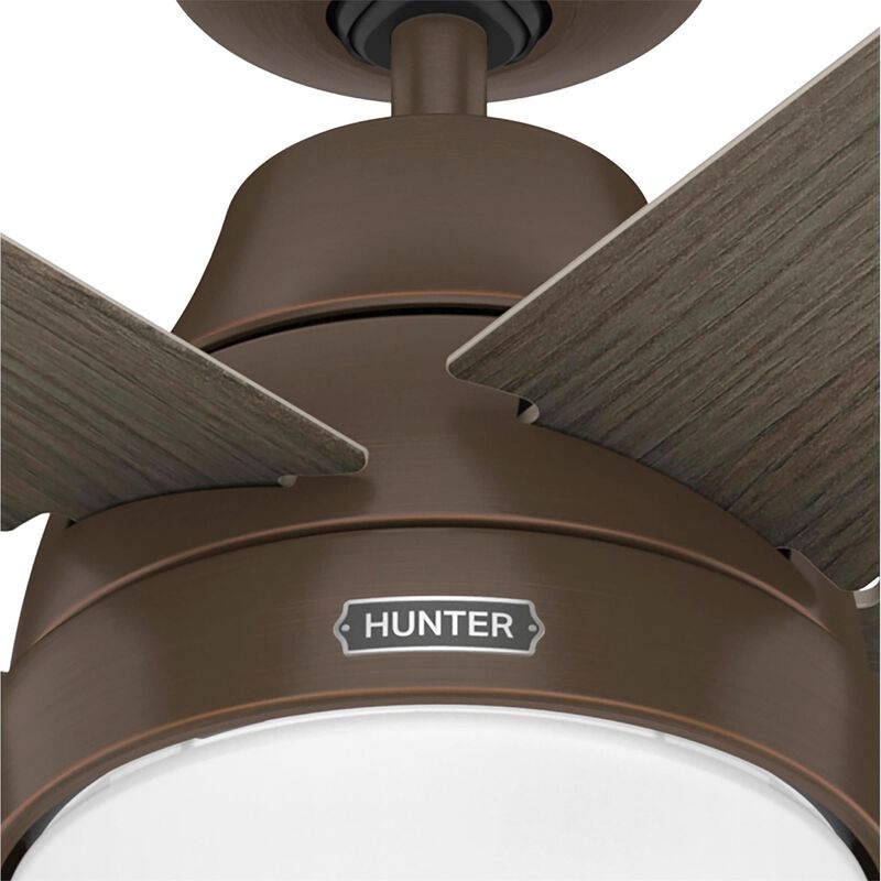 Aerodyne 60 Inch Ceiling Fan with Light Kit by Hunter Fan