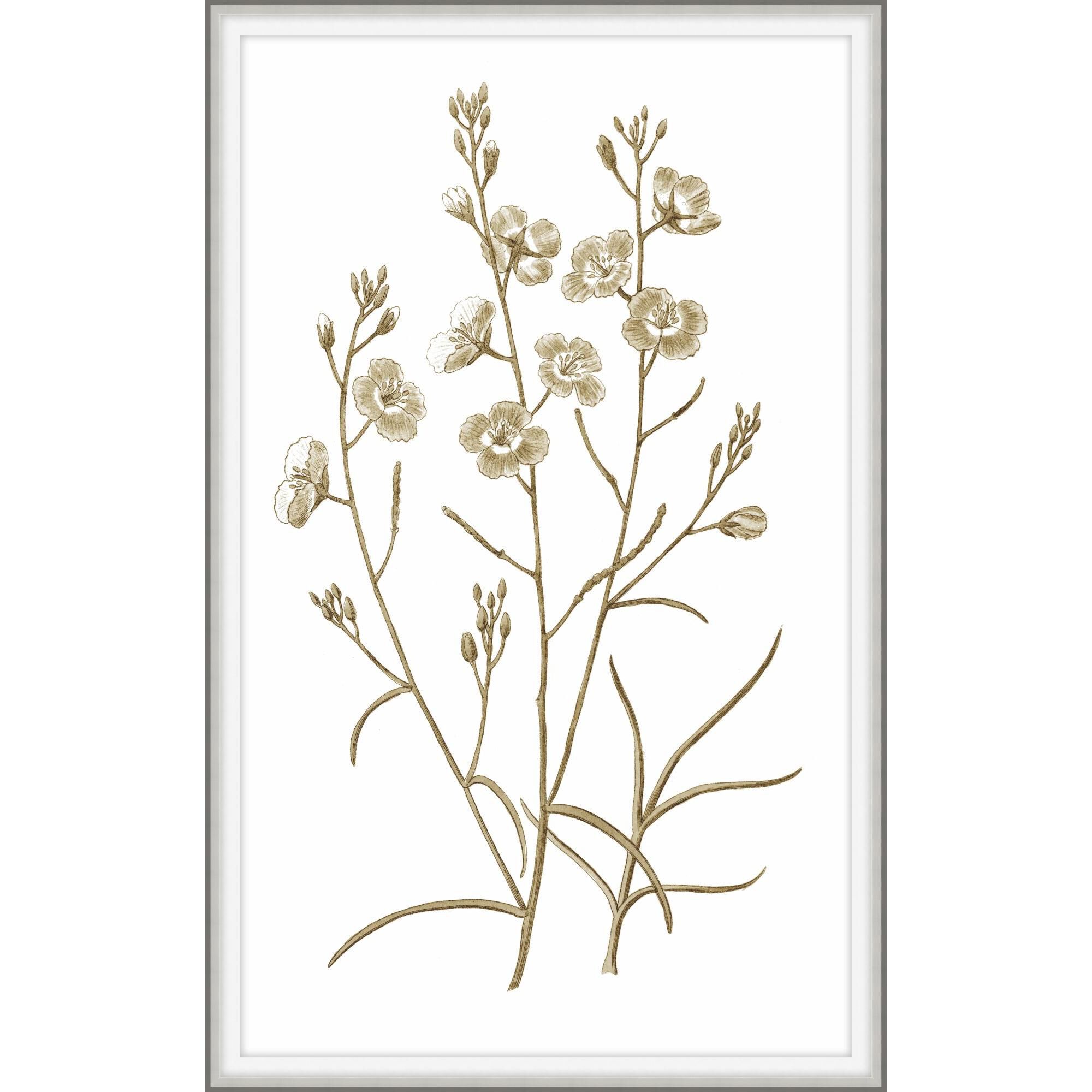 Sweet Preservation Print by LEVEL57