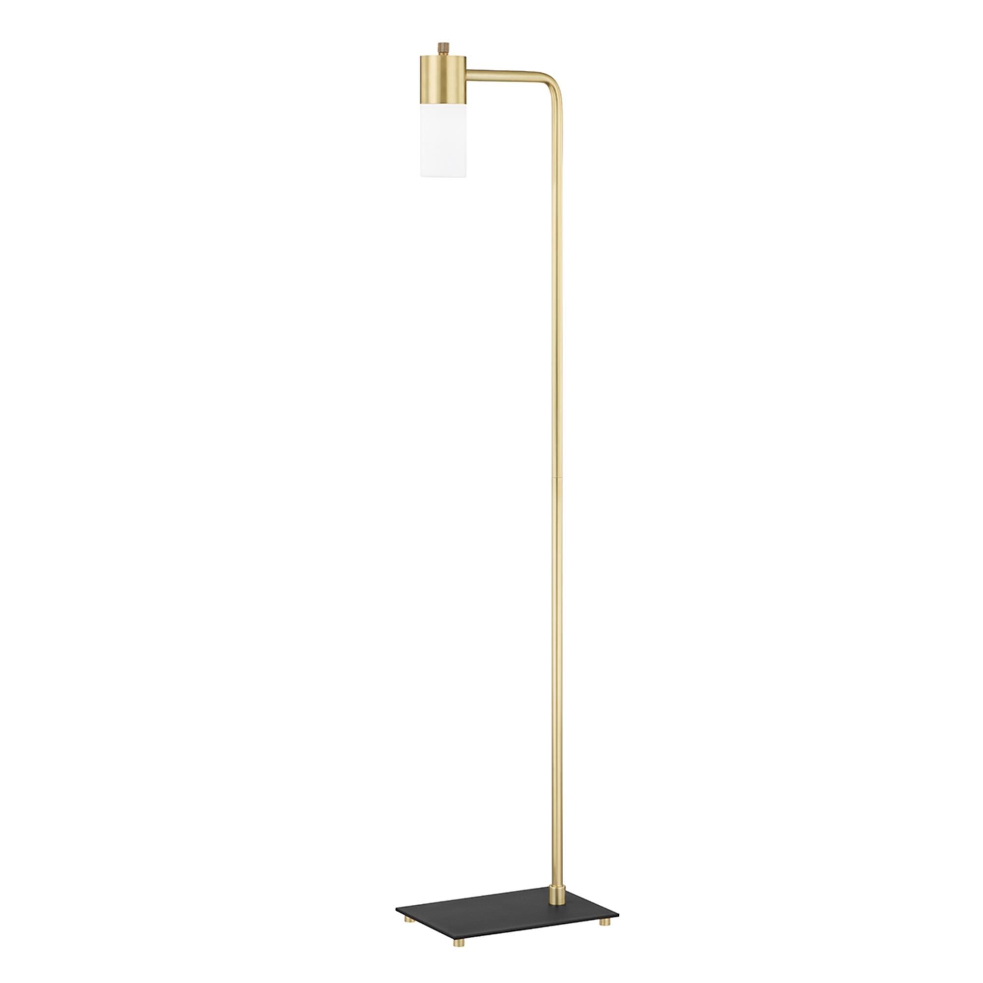 Lola 49 Inch Reading Lamp by Mitzi
