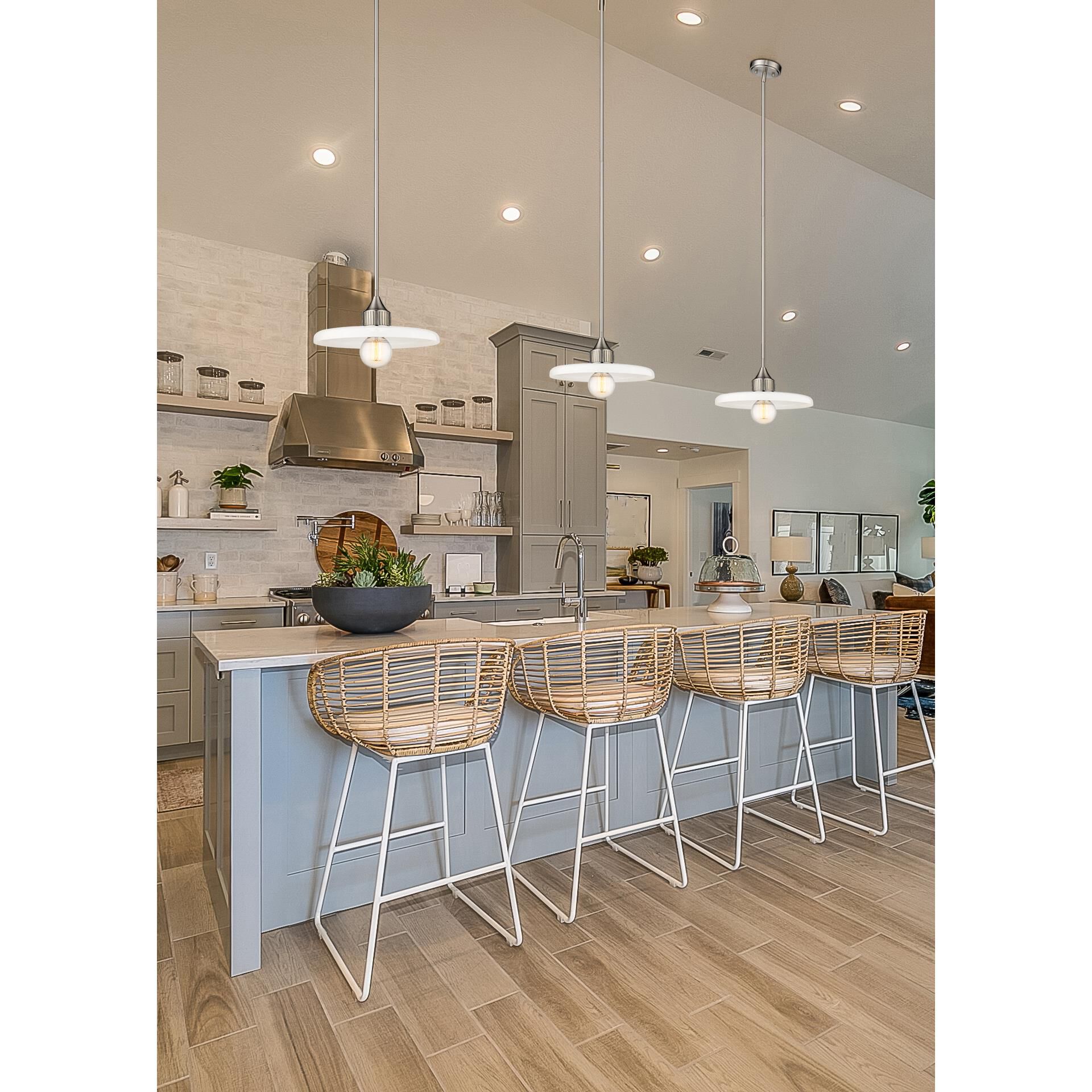 Z-Lite Paloma 14 Inch Large Pendant