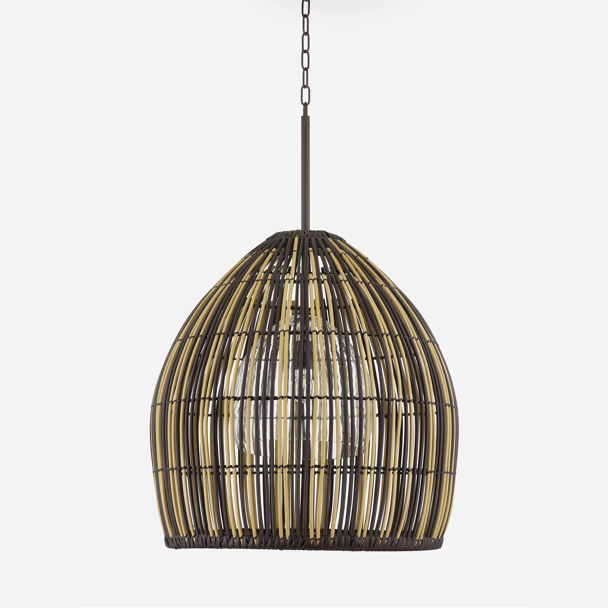 Holden 26 Inch Chandelier by Troy Lighting