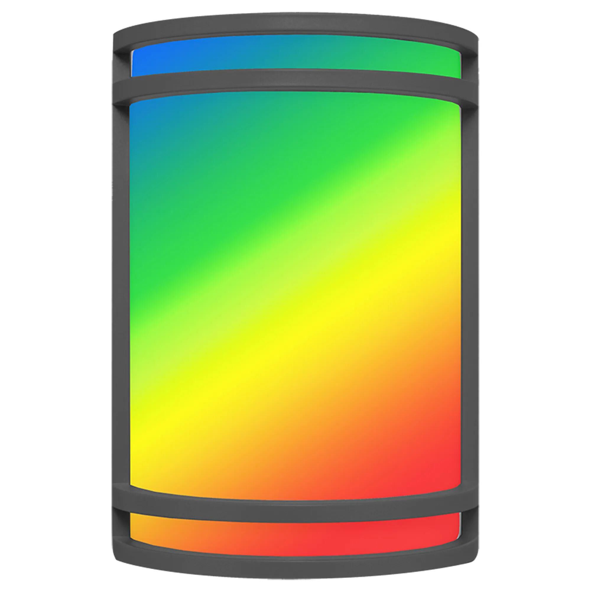 Smart Lighting 10 Inch Outdoor Wall Light by Westgate