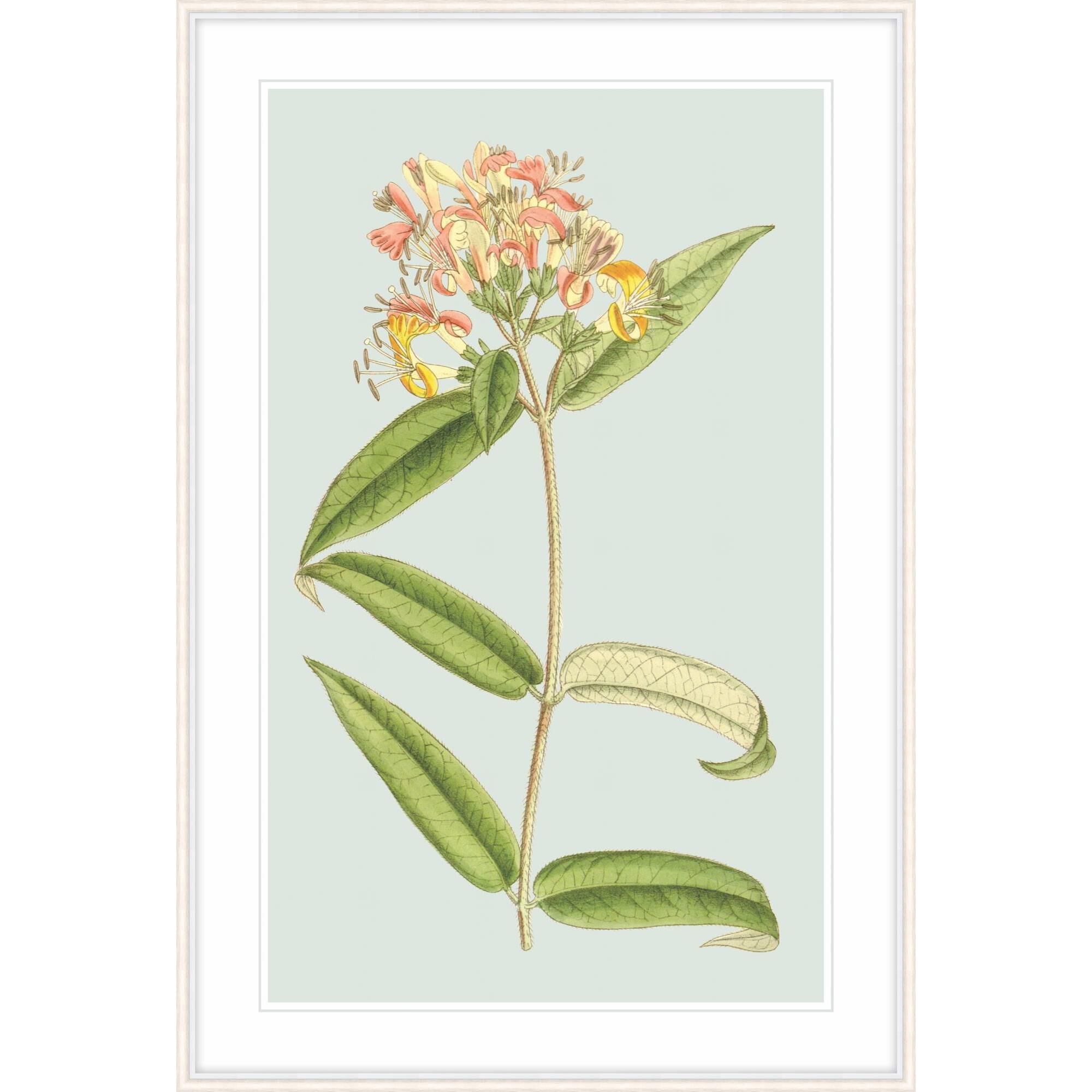 Studio L57 Nouvelle Forget Me Not Print by LEVEL57