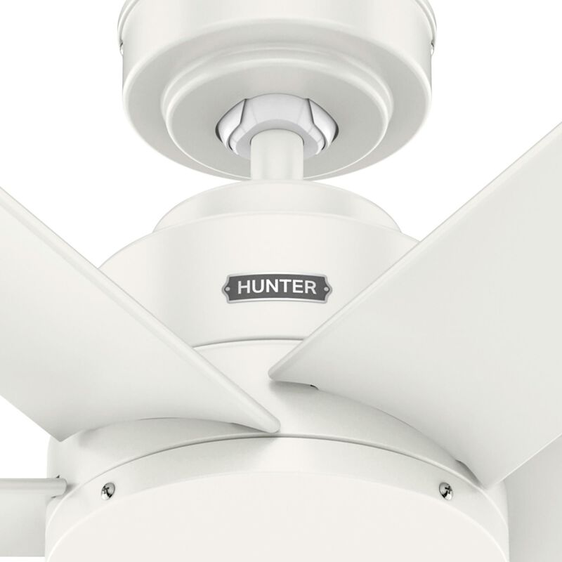 Kennicott 52 Inch Ceiling Fan by Hunter Fan
