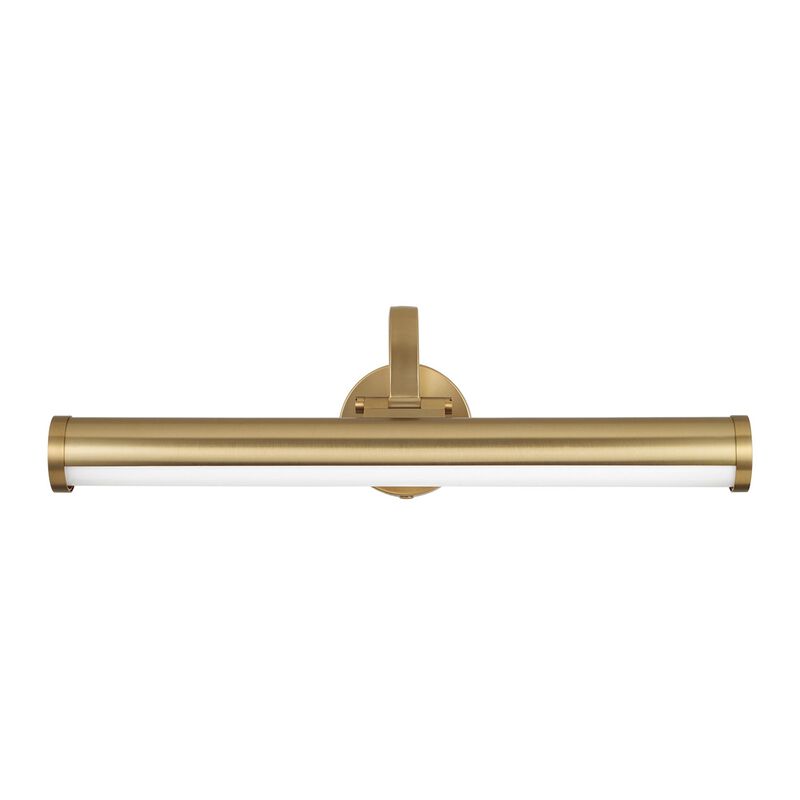 Morgan 22 Inch Picture and Display Light by Capital Lighting