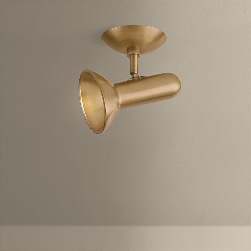Bjorn 5 Inch Flush Mount by Troy Lighting