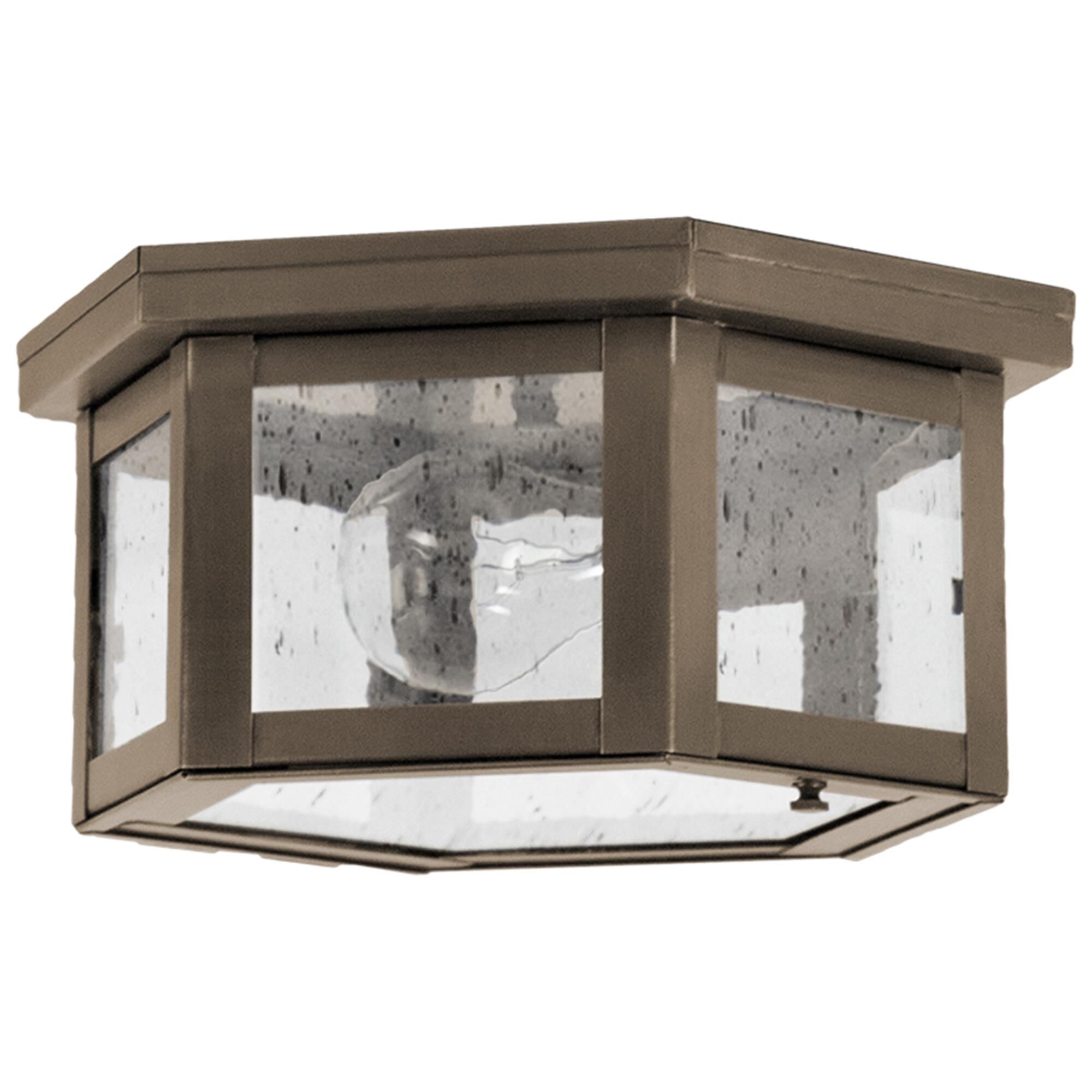 Williams 10 Inch Outdoor Flush Mount,