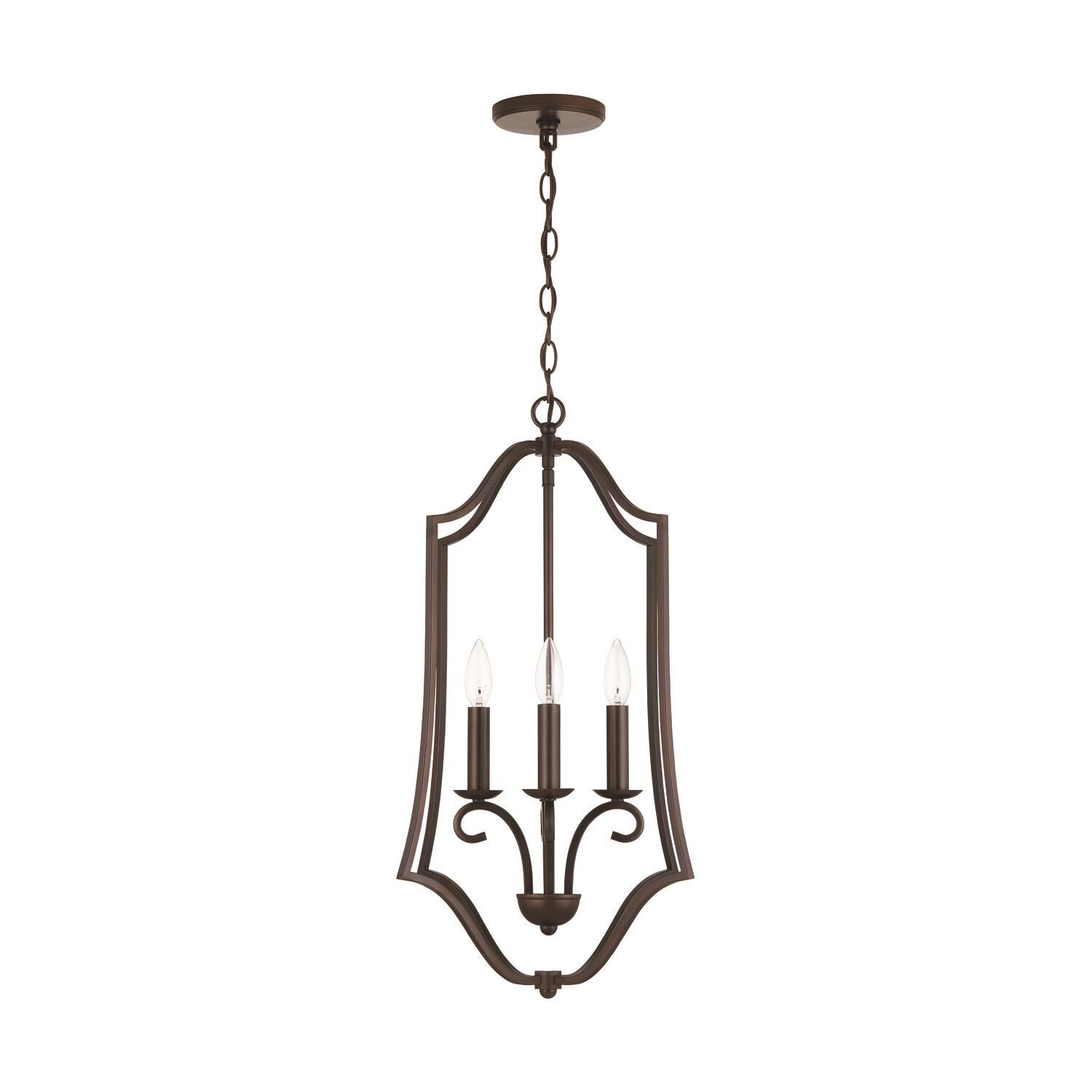 Cameron 17 Inch Cage Pendant by Homeplace by Capital Lighting Fixture Company