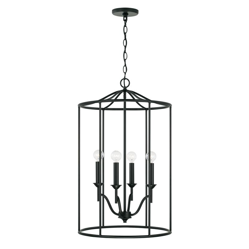 Peyton 18 Inch Cage Pendant by Capital Lighting Fixture Company