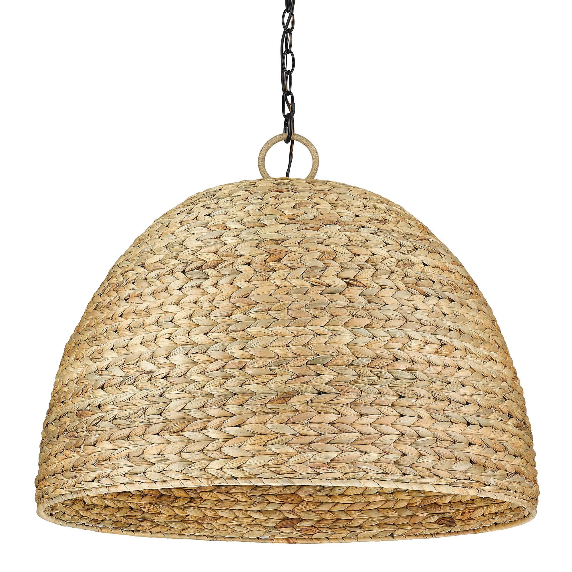 Rue 27 Inch Large Pendant by Golden Lighting