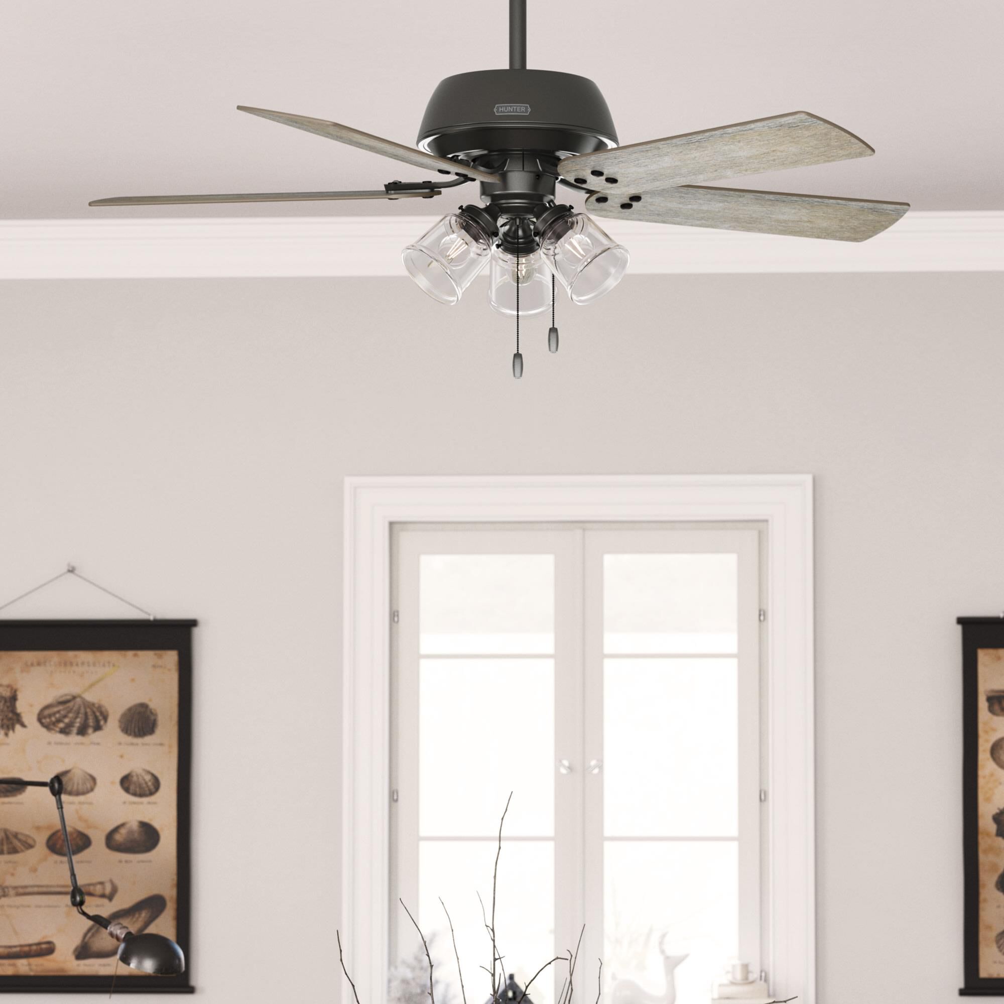Shady Grove Ceiling Fan by Hunter Fan