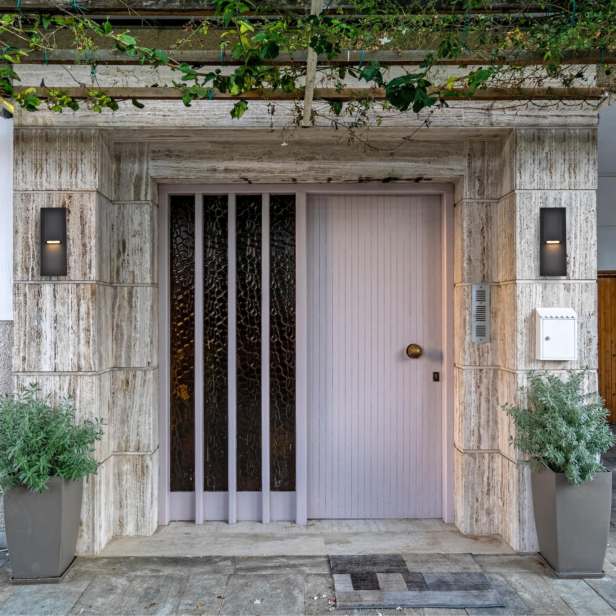 Raine Outdoor Wall Light by Elegant Lighting