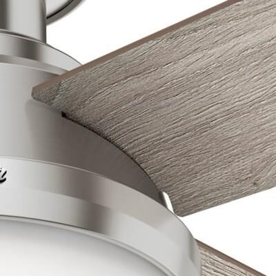 Shown in Brushed Nickel finish and Painted Cased White glass