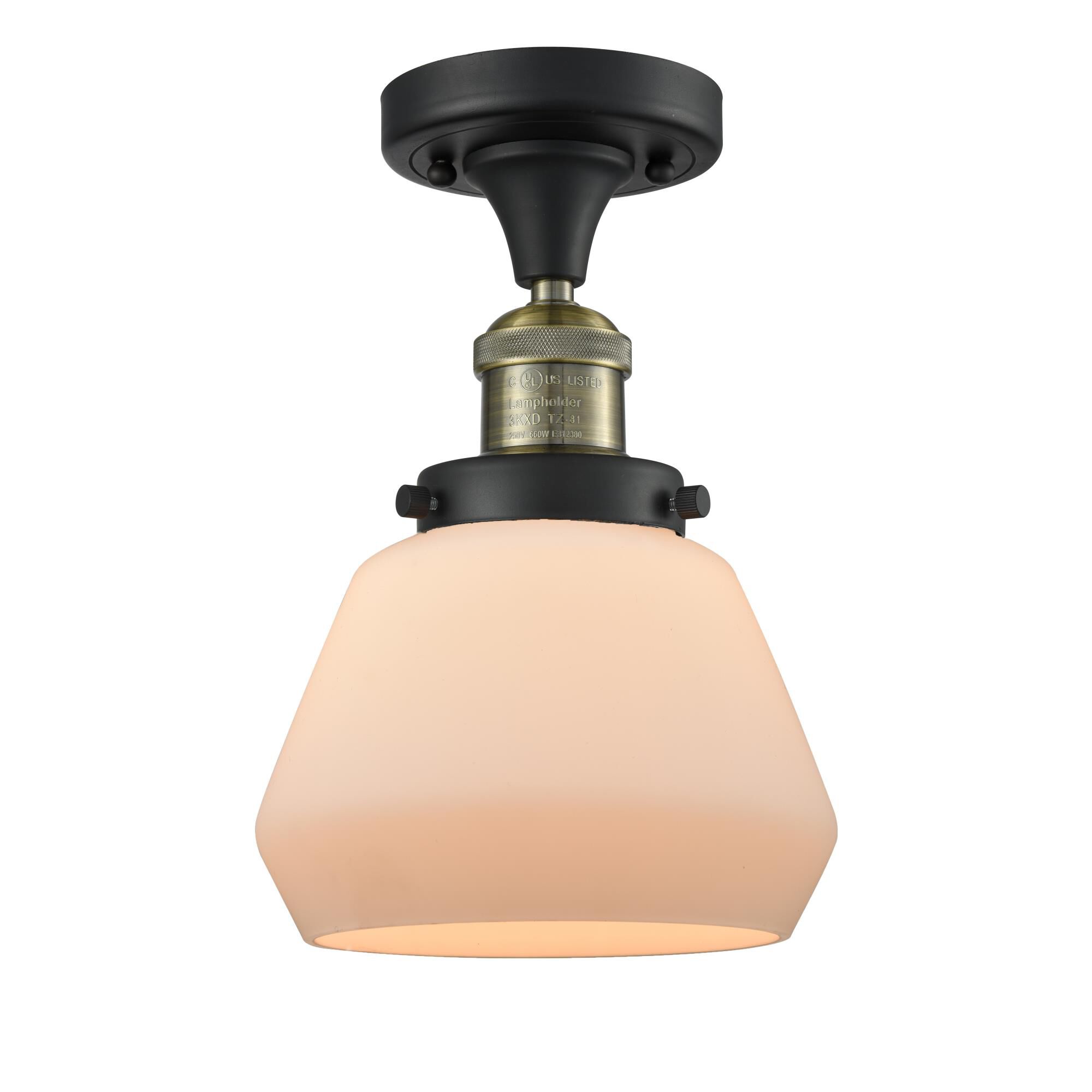 Shown in Black Antique Brass finish and Matte White Cased glass