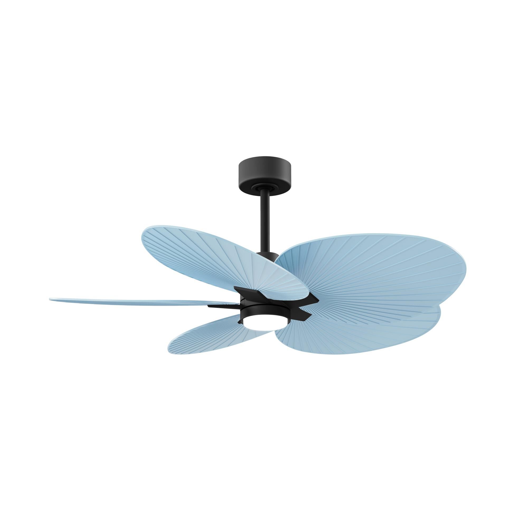 Alessandra Tropical Outdoor Rated 48 Inch Ceiling Fan with Light Kit by Matthews Fan Company