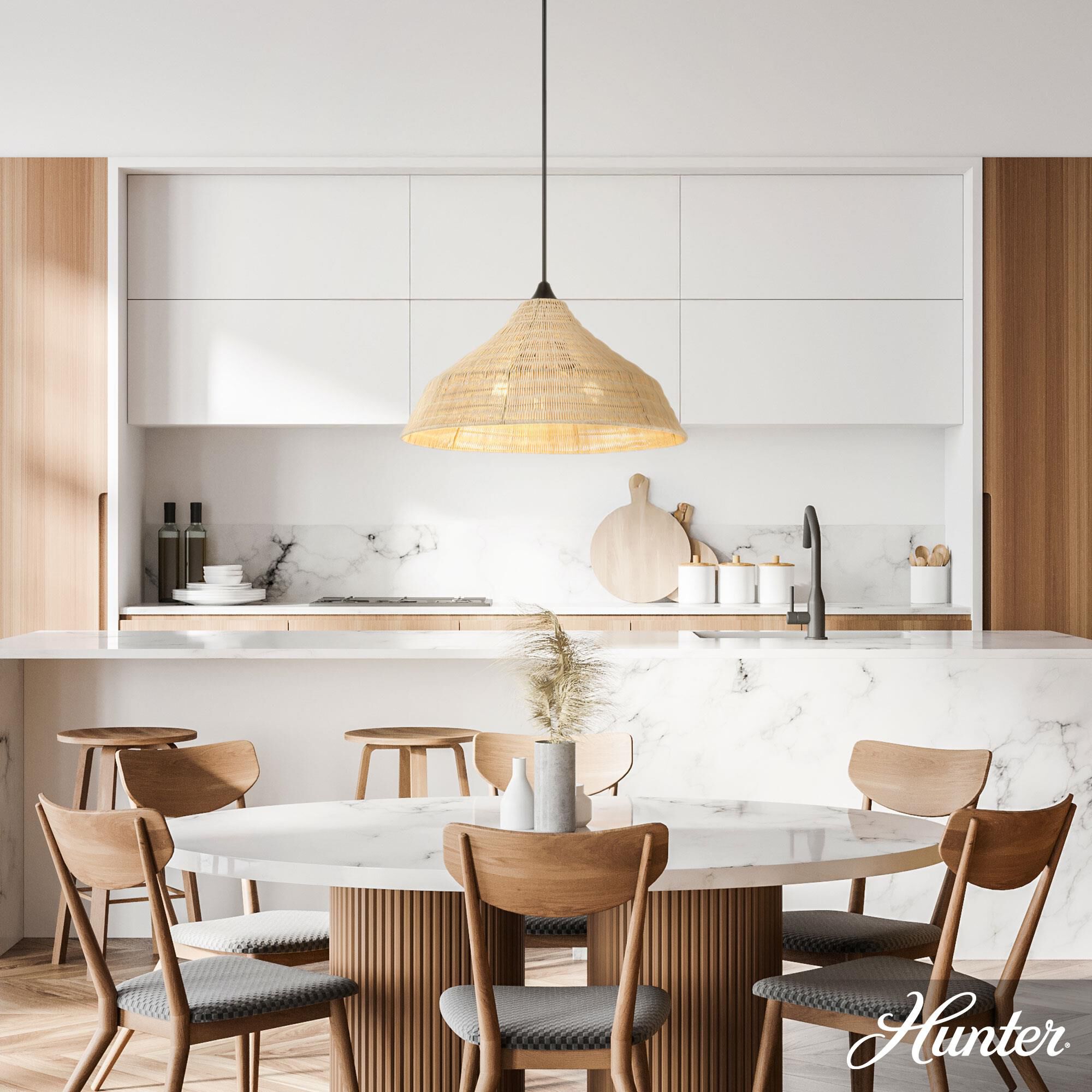 Agoura 24 Inch Large Pendant by Hunter Fan