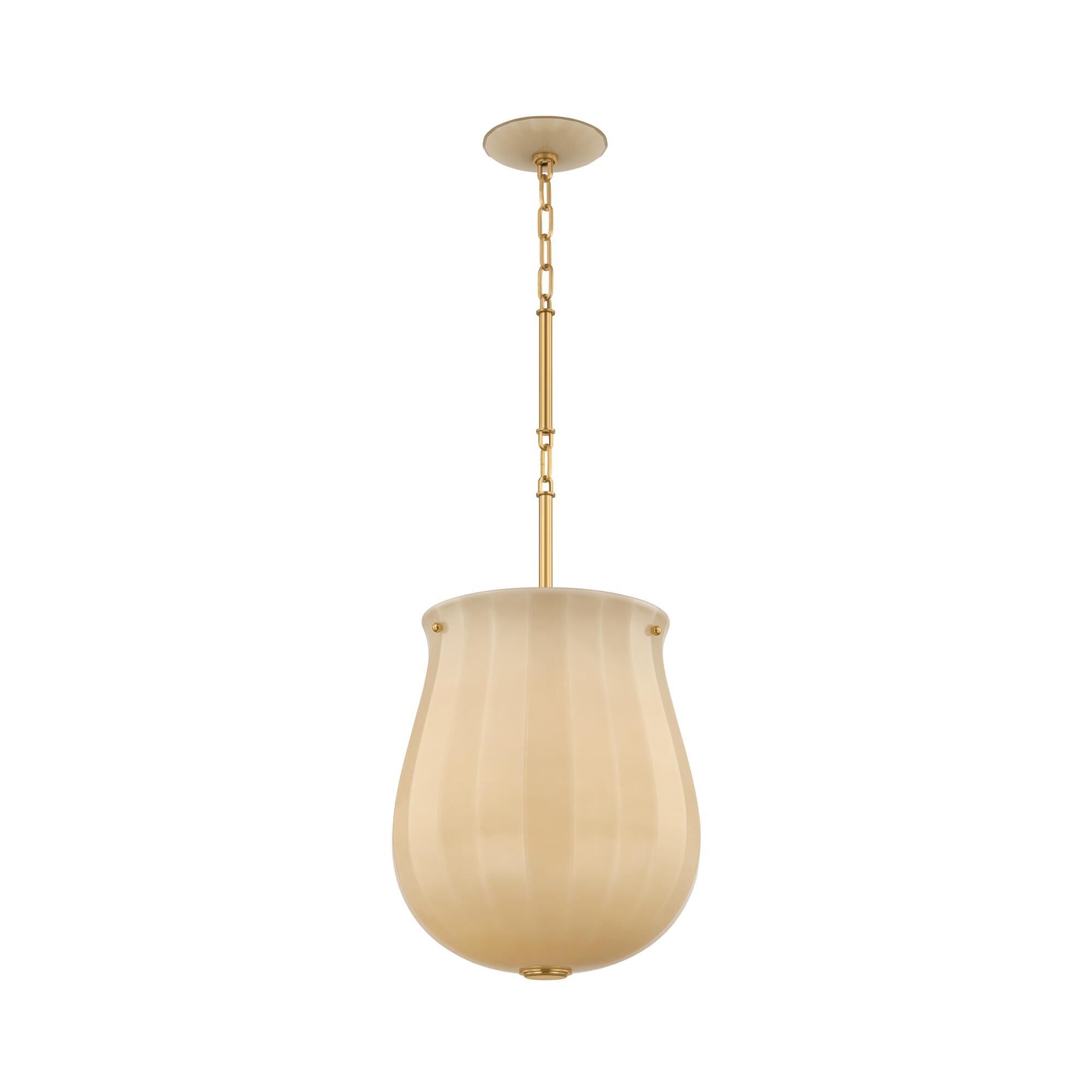 Nevins 14 Inch Large Pendant by Hudson Valley Lighting