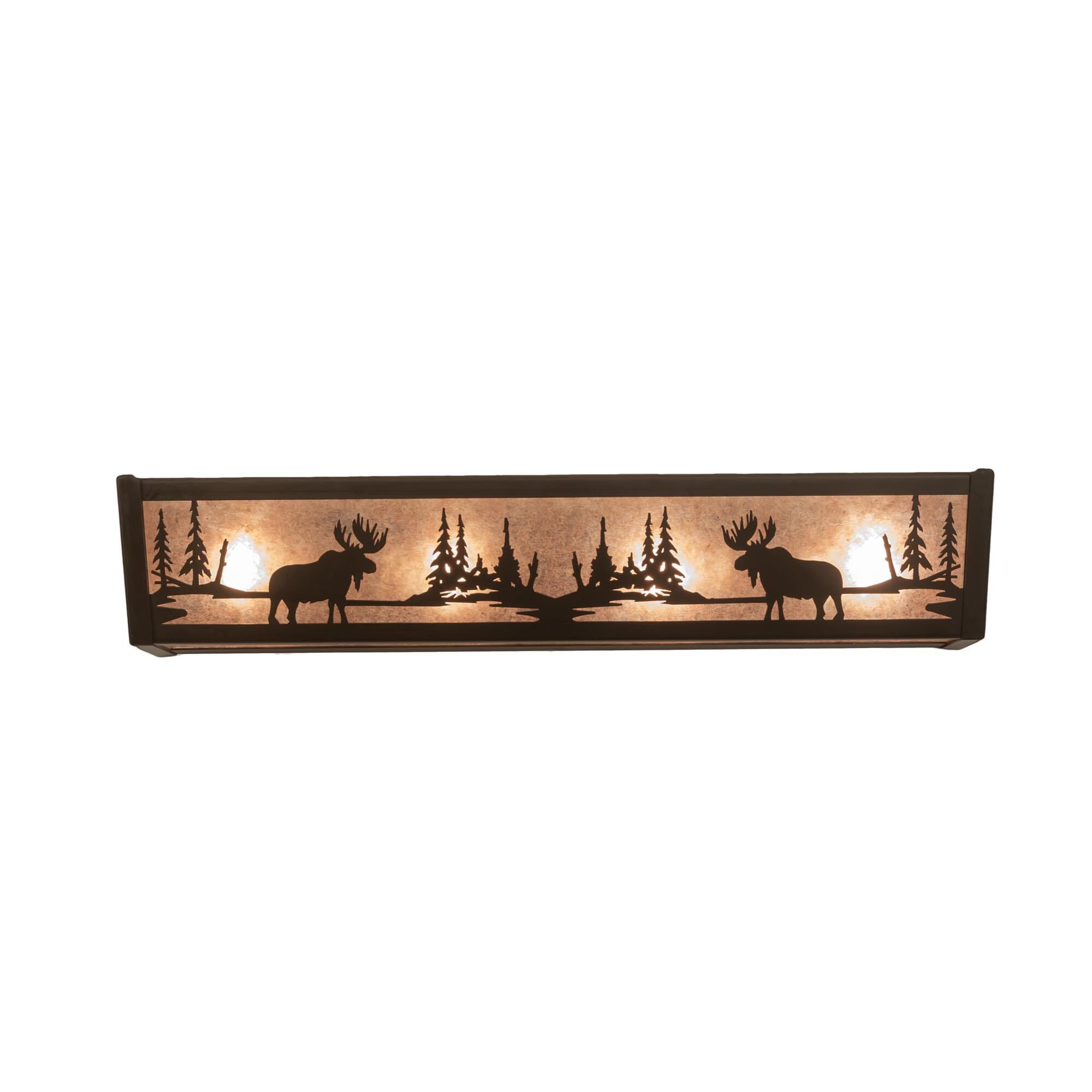 24 Inch 4 Light Bath Vanity Light by Meyda Lighting