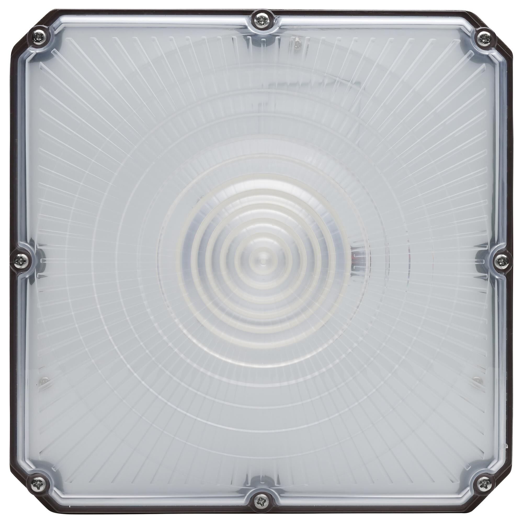 9 Inch Flush Mount by Nuvo Lighting