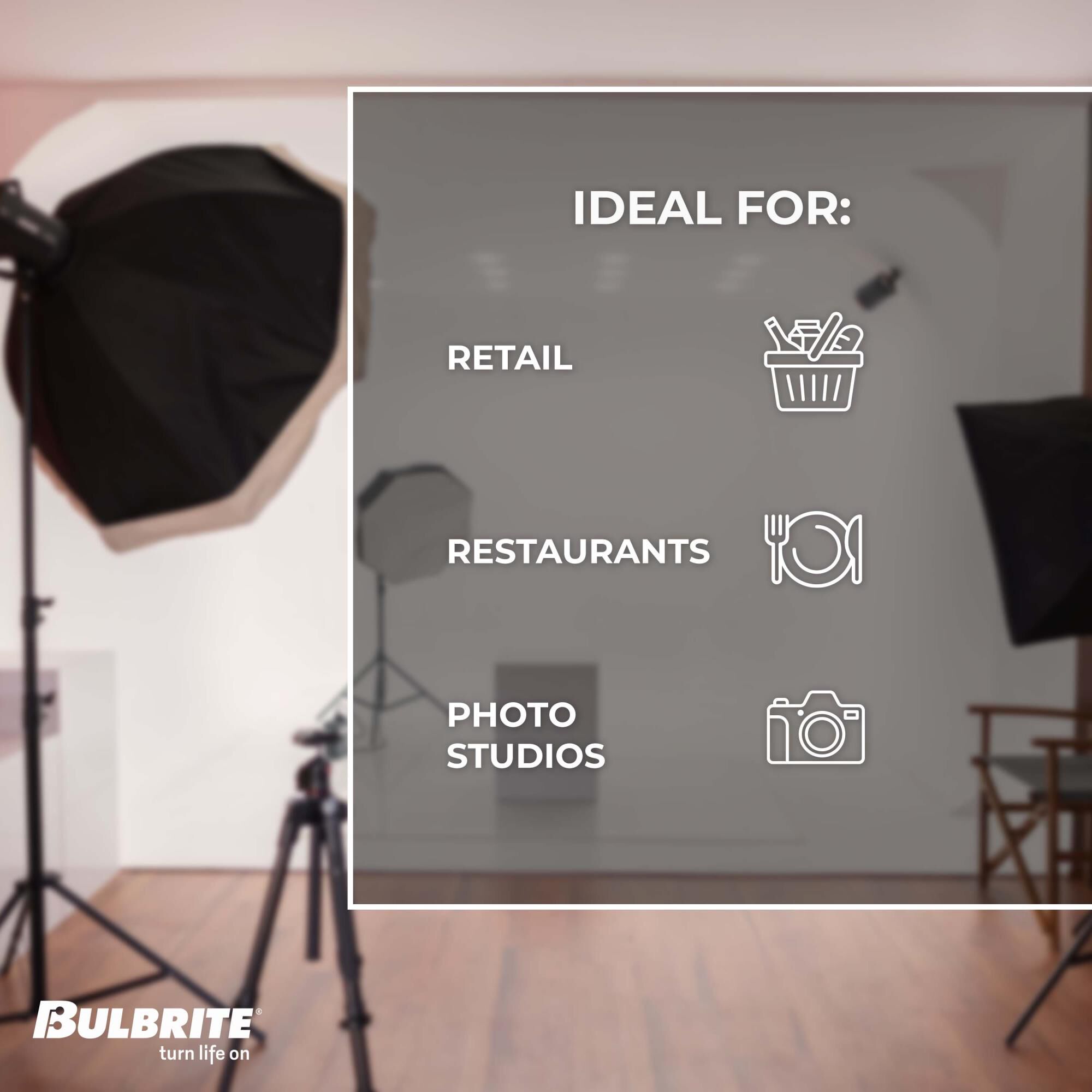 60 Watt 2700K A19 Incandescent Light Bulb by Bulbrite