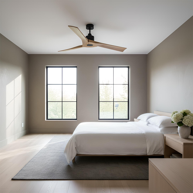 Sean Lavin Alma 52 Inch Ceiling Fan by Visual Comfort Fan