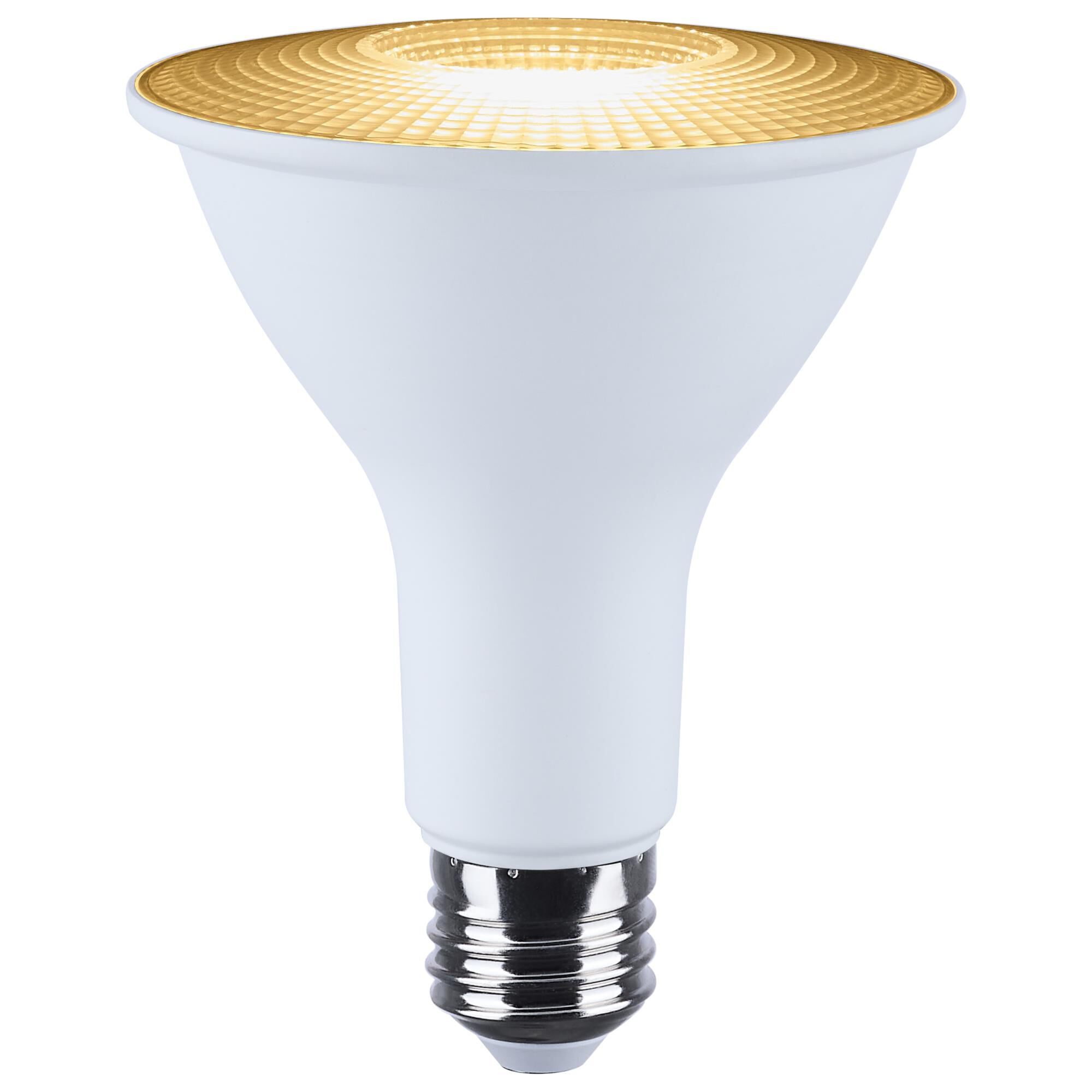 Dimmable 13 Watt 2700K LED Light Bulb,