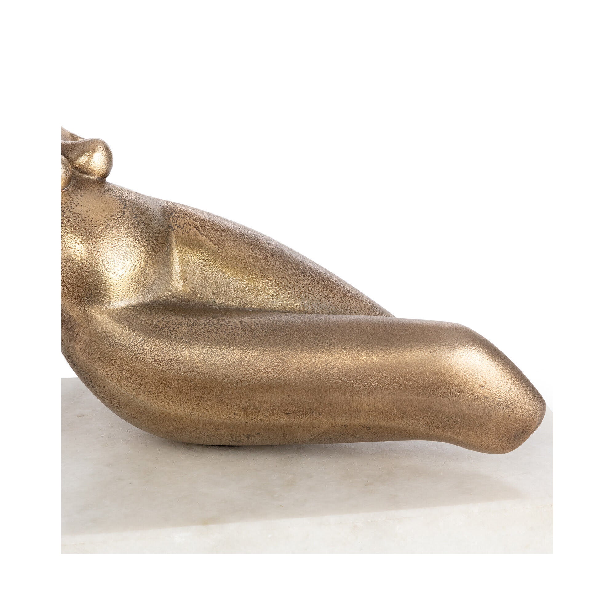 Shown in Brass finish and - None - shade