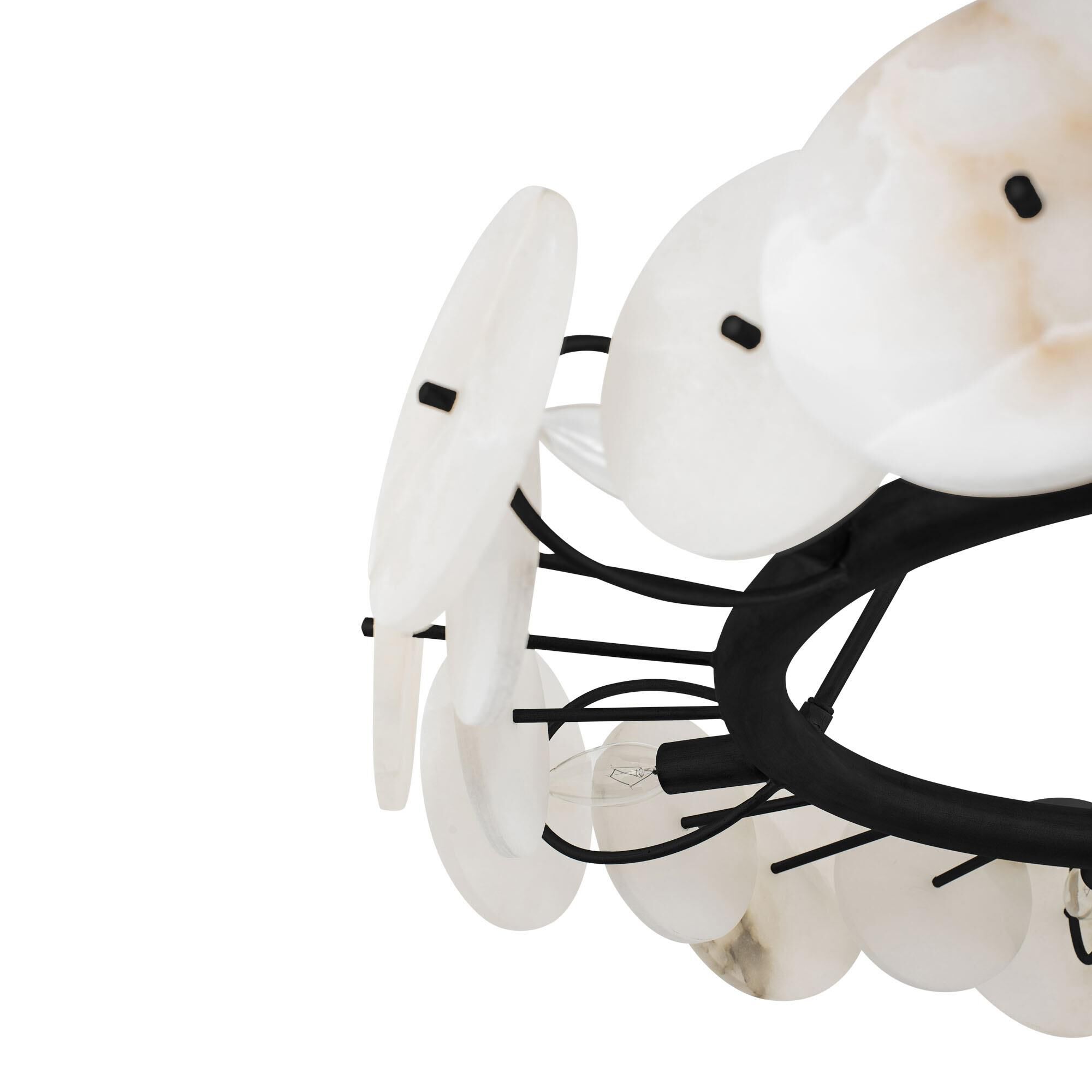 Cosmos 30 Inch 6 Light Chandelier by Varaluz