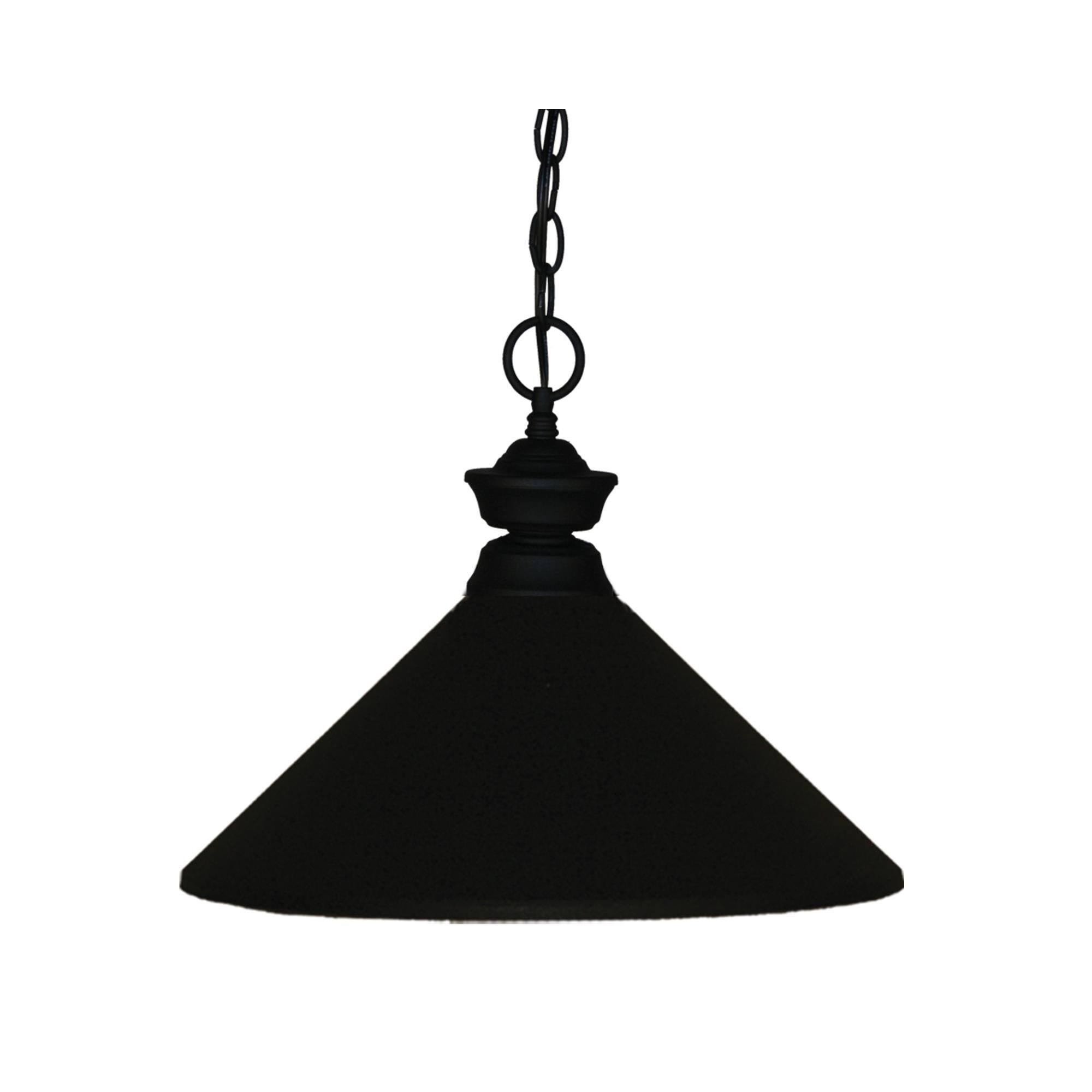 Z-Lite Pendant Lights 14 Inch Large Pendant