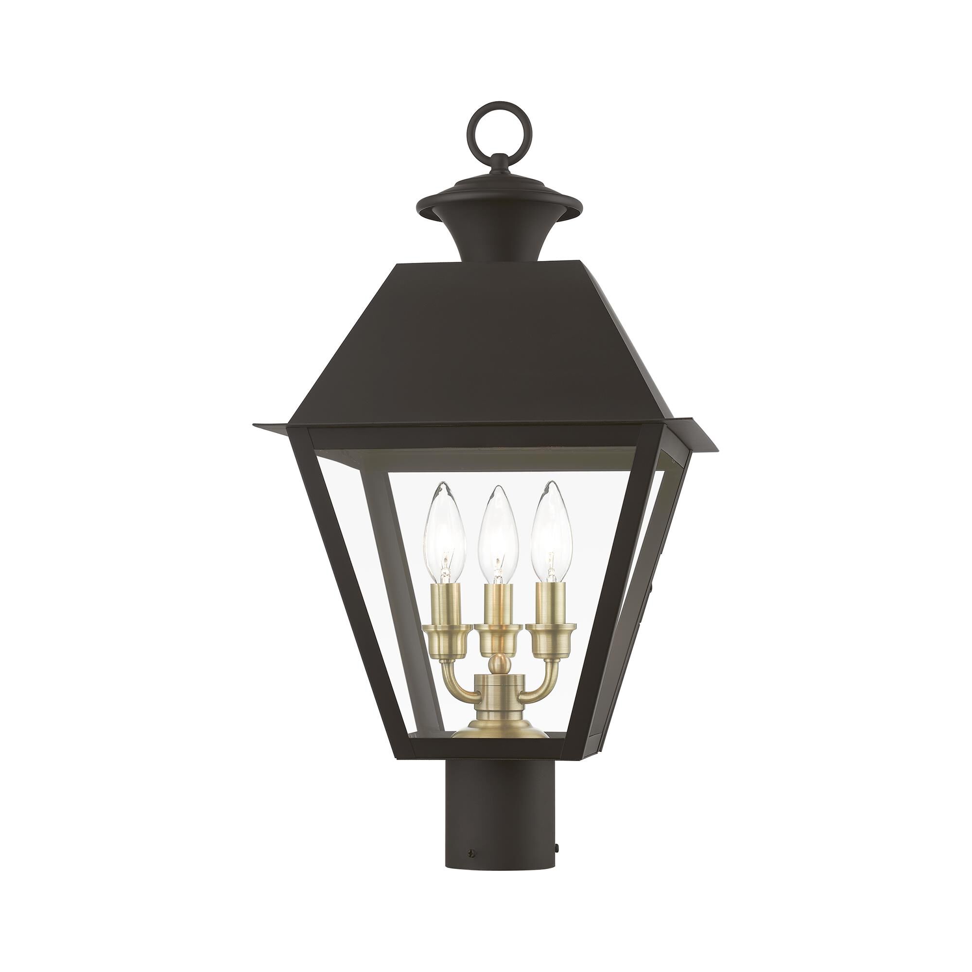 Shown in Bronze with Antique Brass Finish Cluster finish and Clear glass