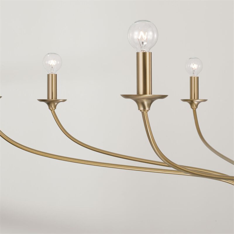 Dolan 52 Inch 8 Light Chandelier by Capital Lighting Fixture Company