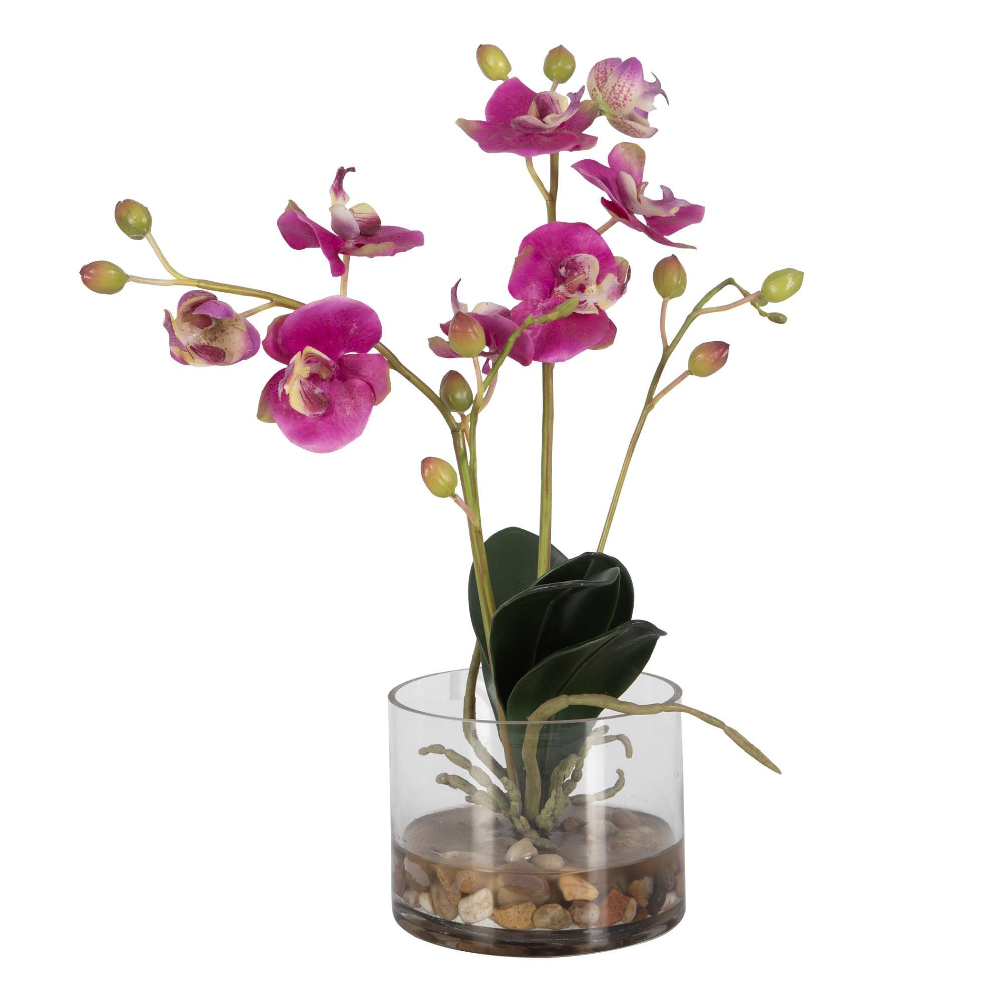 Constance Lael-Linyard Glory Orchid 13 Inch Botanical by Uttermost