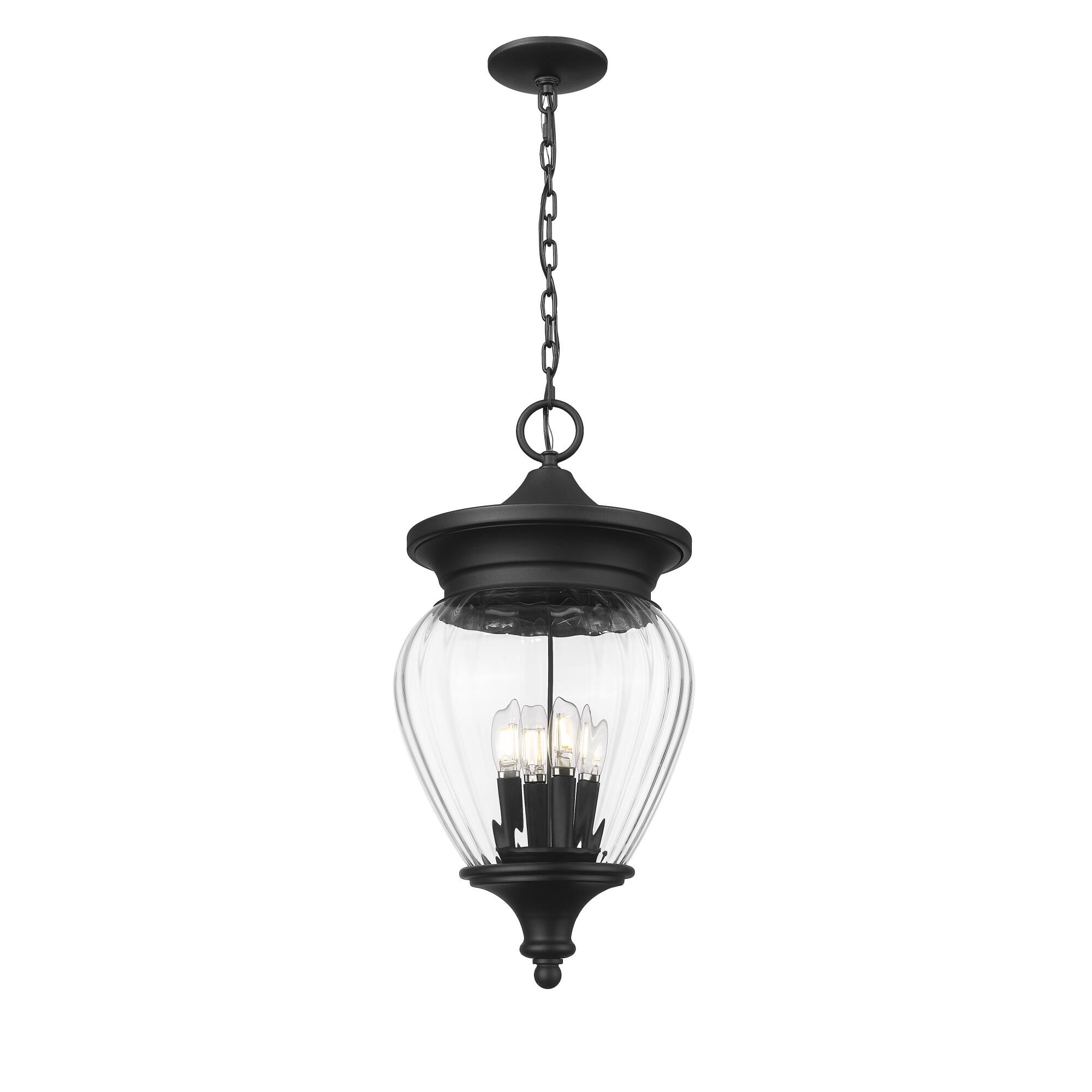 Davina 12 Inch Outdoor Hanging Lantern by Z Lite
