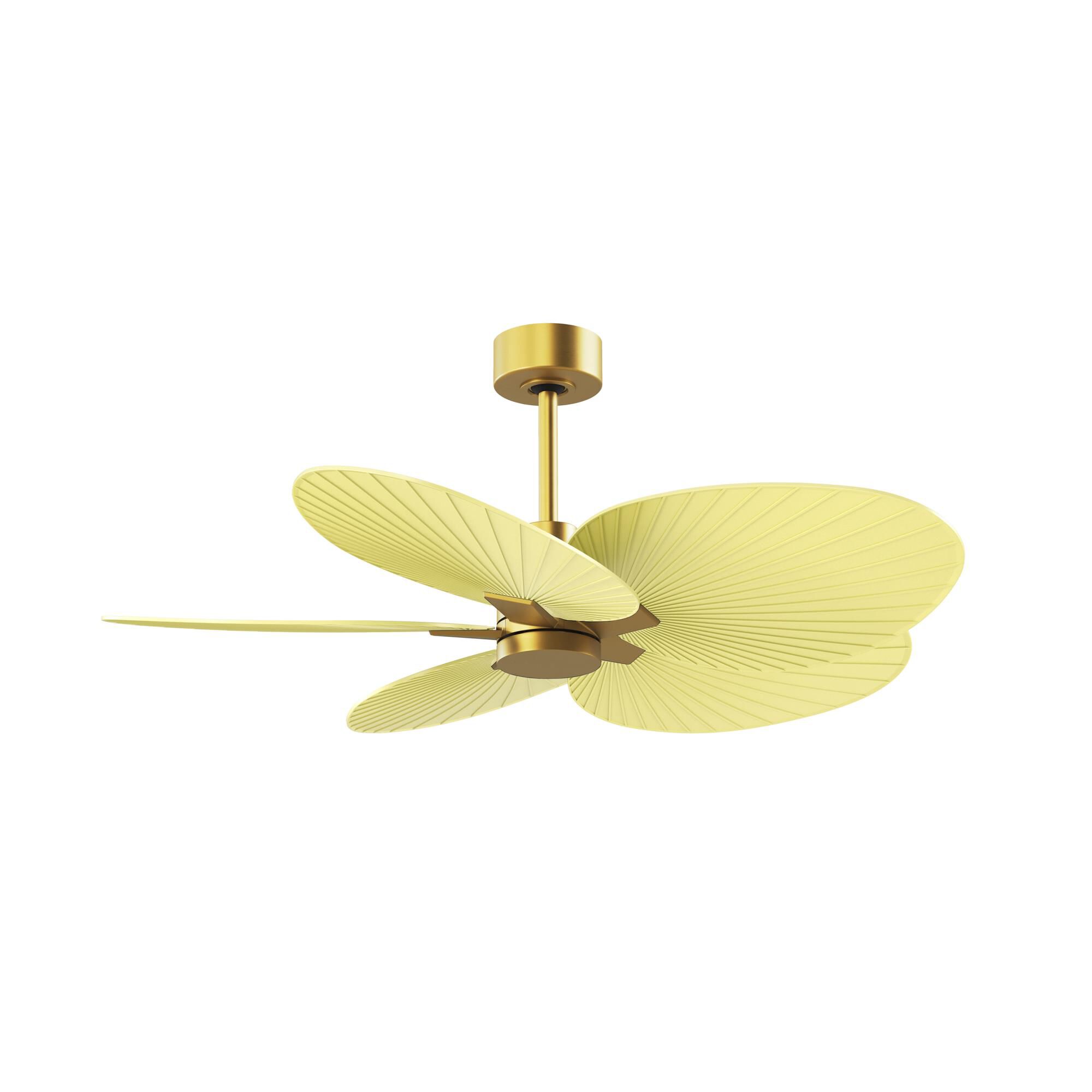 Shown in Brushed Brass finish