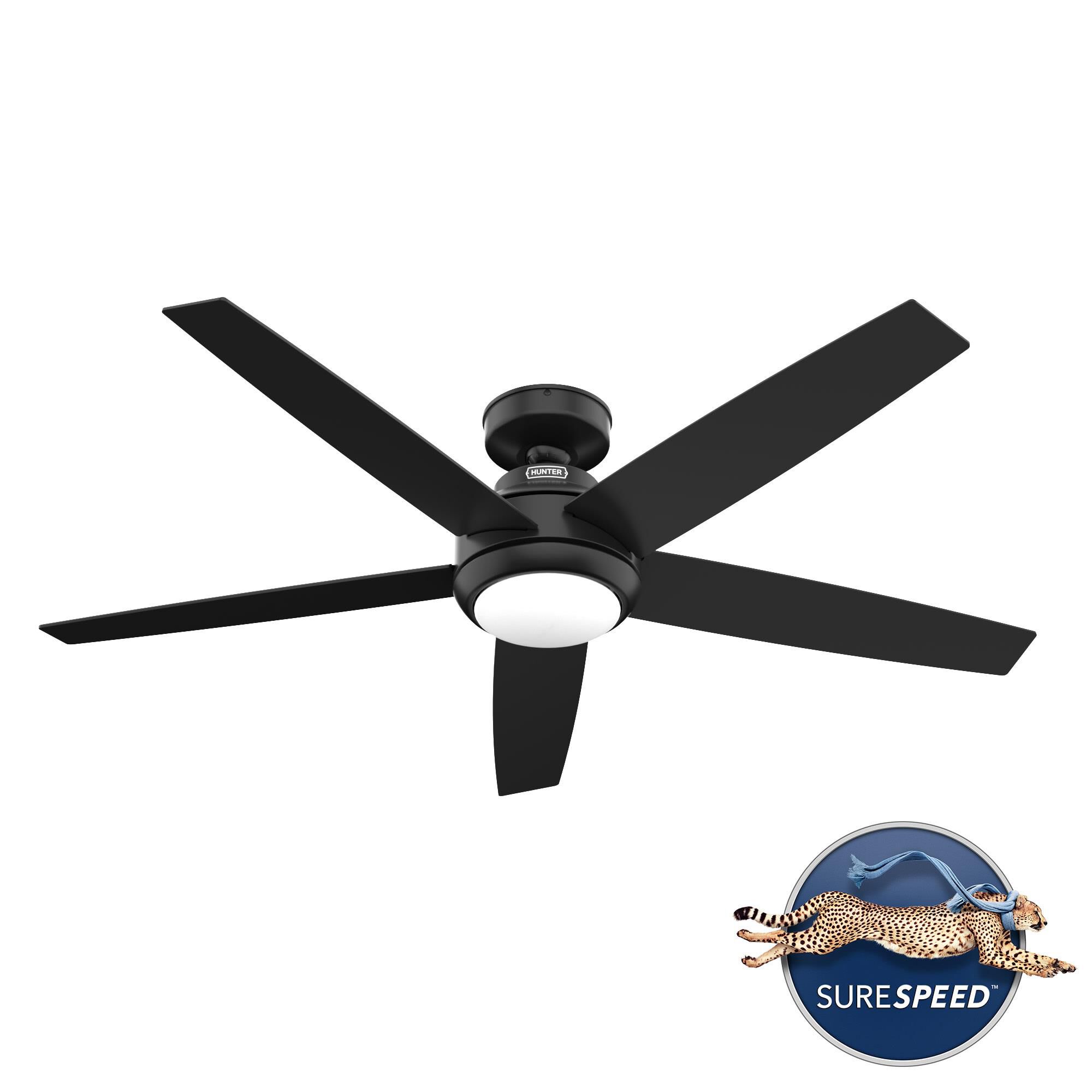Zayden 52 Inch Ceiling Fan with Light Kit by Hunter Fan