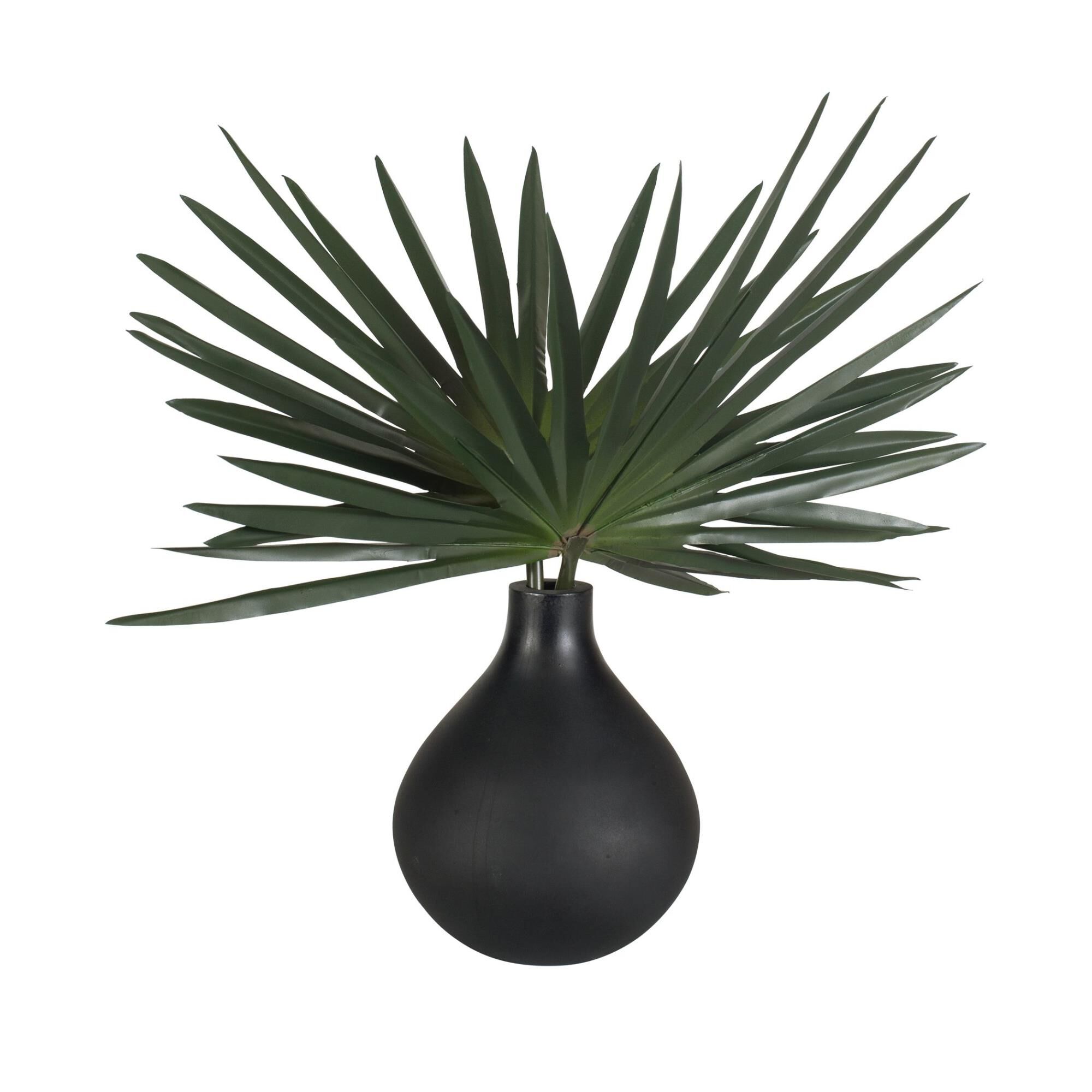 Axis Palm Botanical by Uttermost