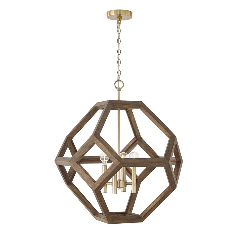 Geo 24 Inch Cage Pendant by Capital Lighting