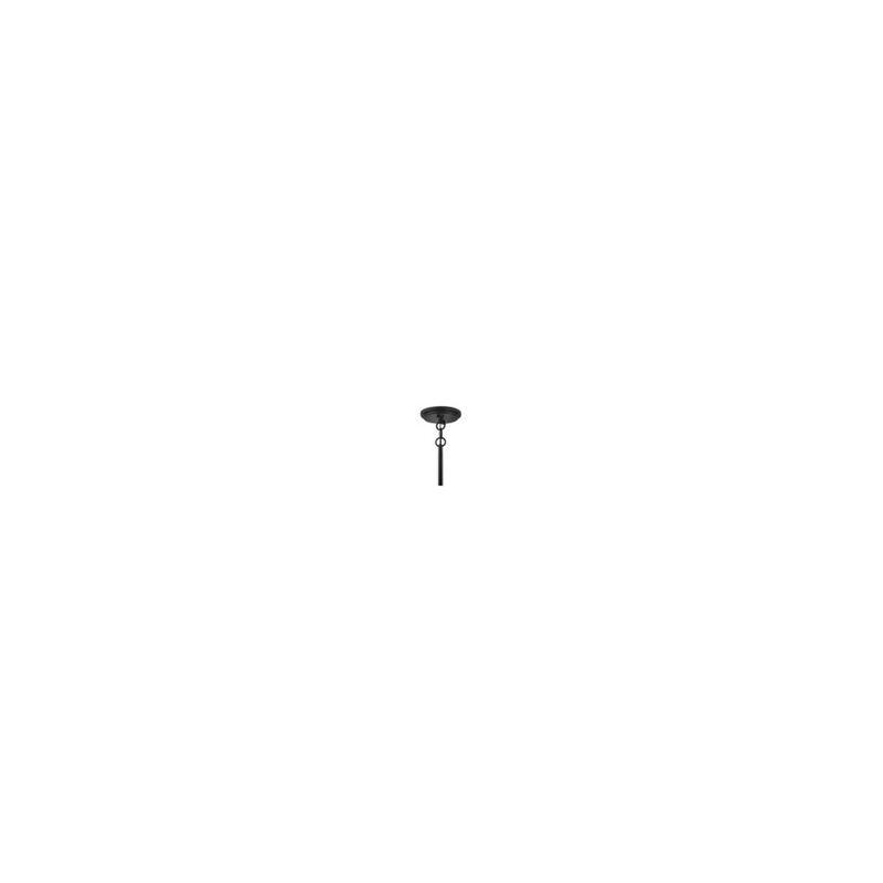 Alder Medium Outdoor Hanging Lantern by Hinkley