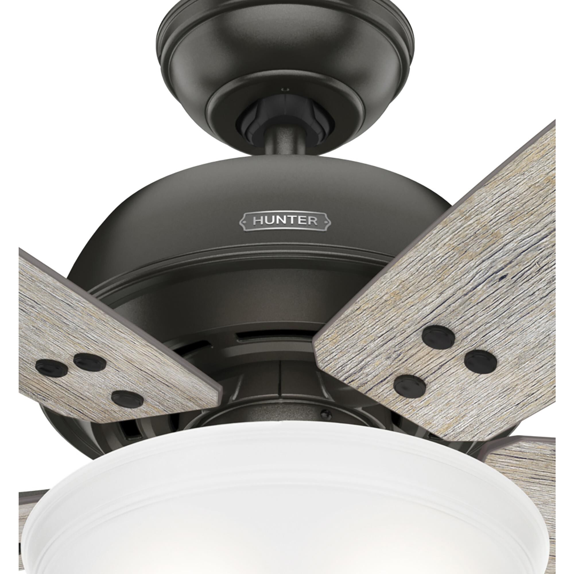 Reveille 60 Inch Ceiling Fan with Light Kit by Hunter Fan