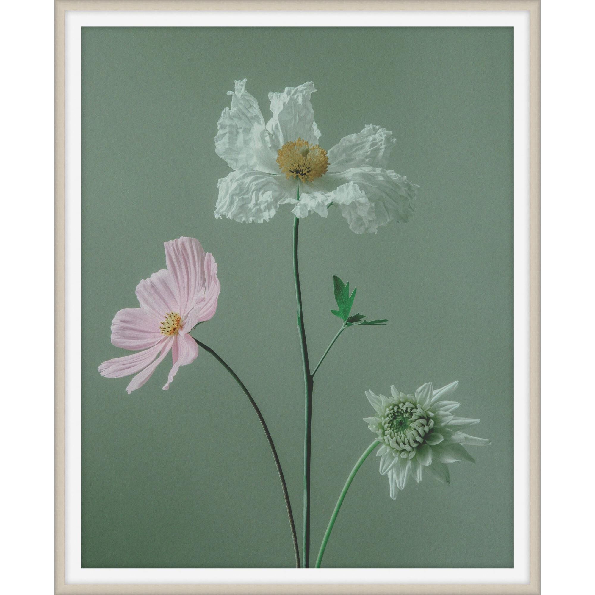 Atonement Petals Print by LEVEL57