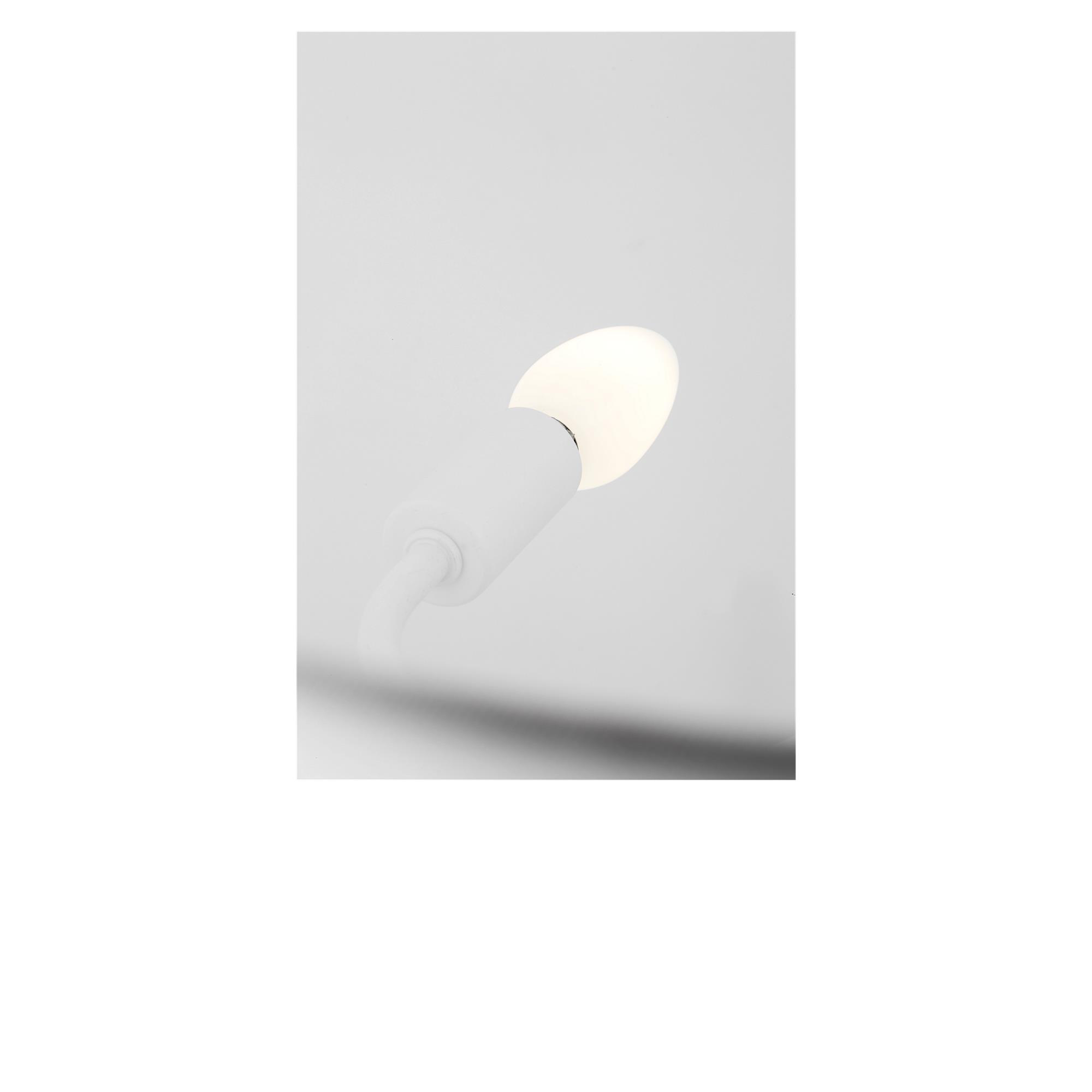 Paloma Contreras Herve 44 Inch Pendant Light,