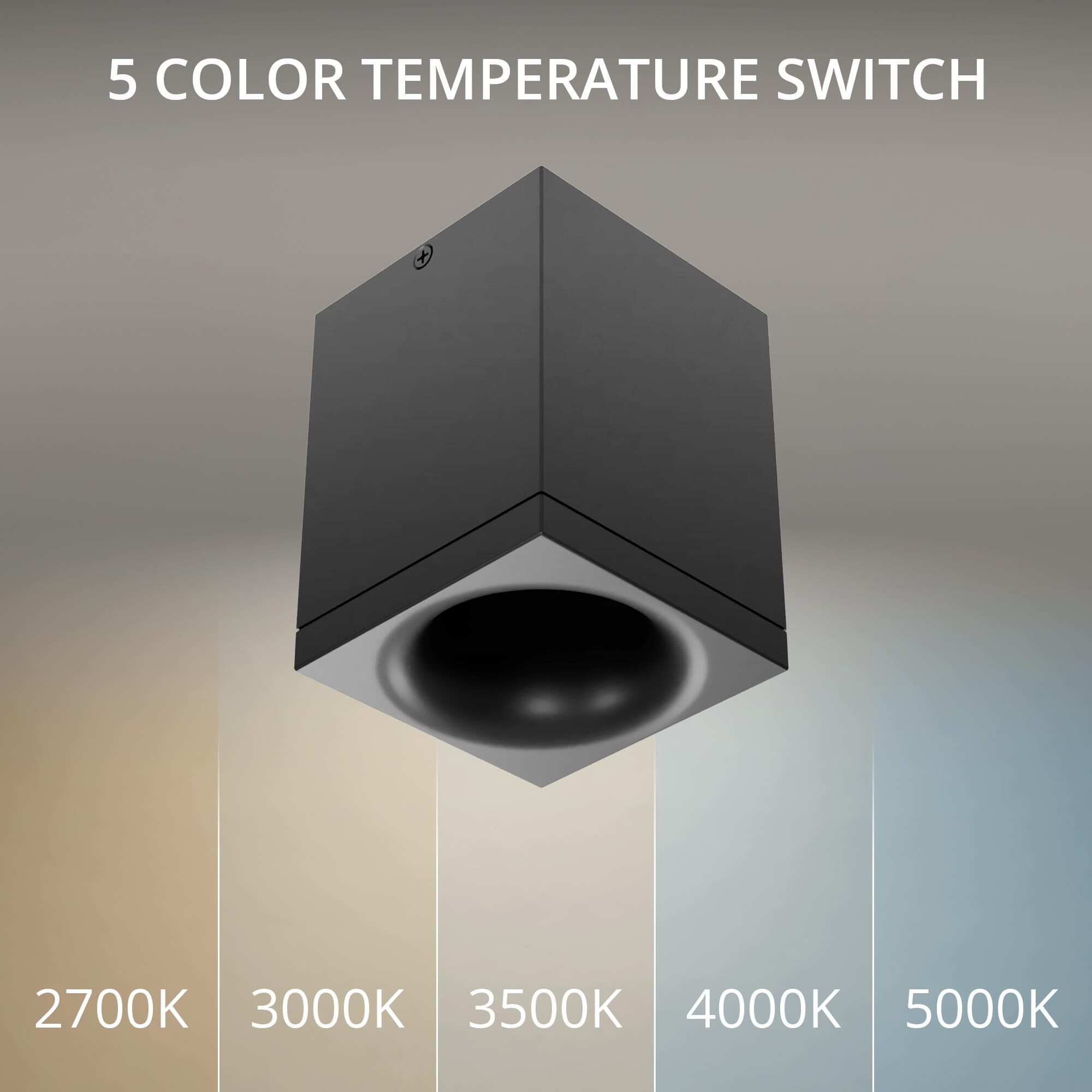 Zoron 4 Inch Outdoor Flush Mount by WAC Lighting