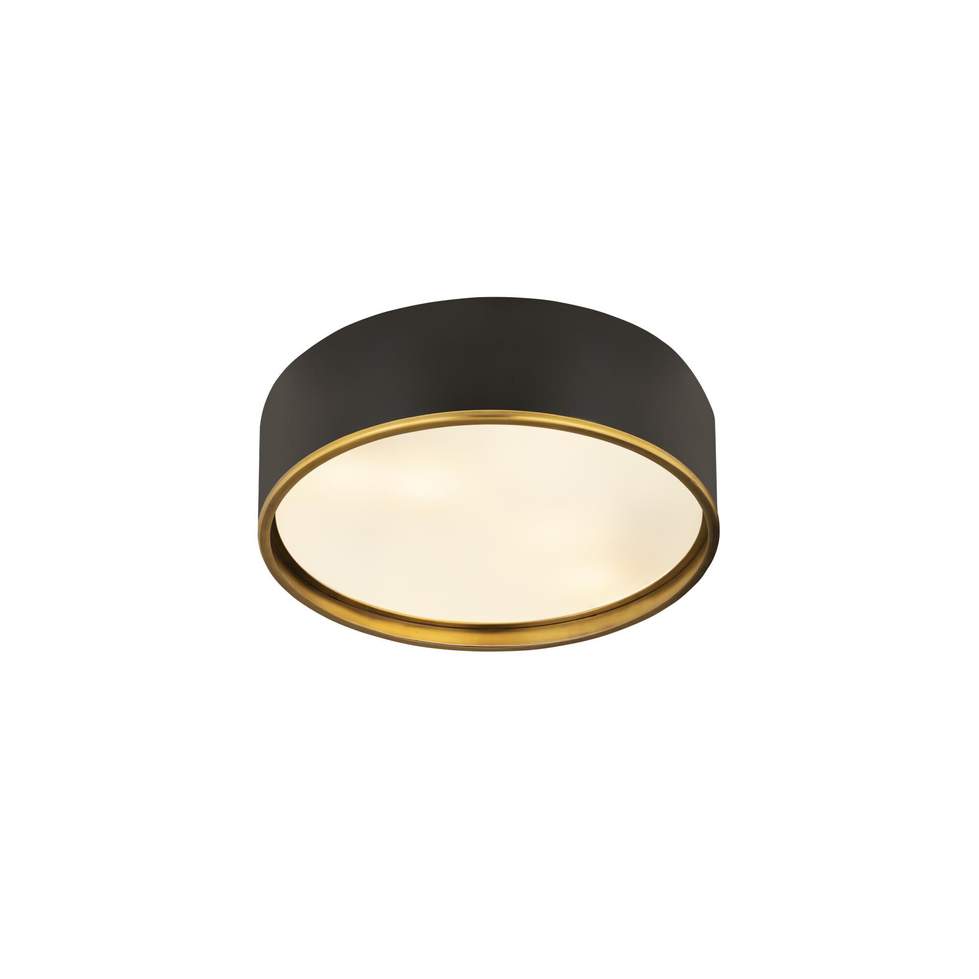 Shown in Matte Black And Rubbed Brass finish and Steel glass and Steel shade