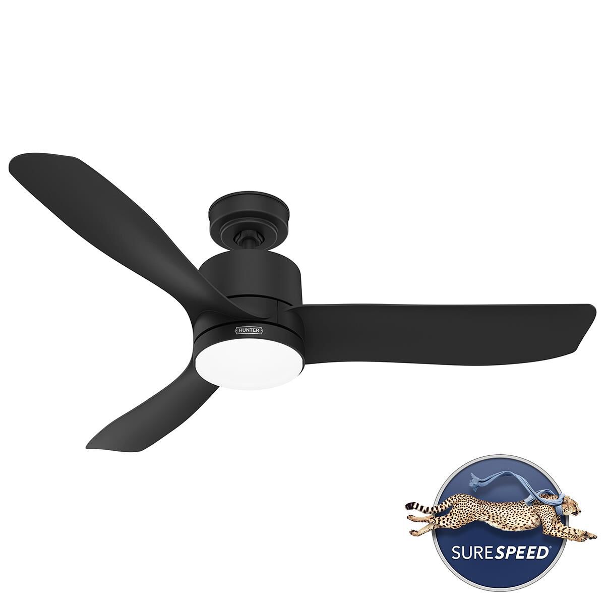 Bolsa 52 Inch Ceiling Fan by Hunter Fan