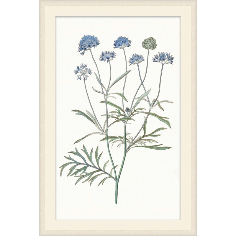 Studio L57 Nouvelle Sapphire Flora Print by LEVEL57