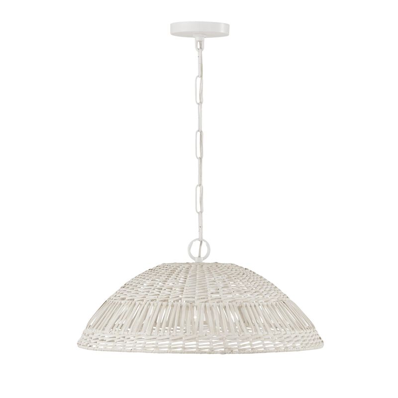 Capital Lighting Fixture Company Naomi 21 Inch Large Pendant